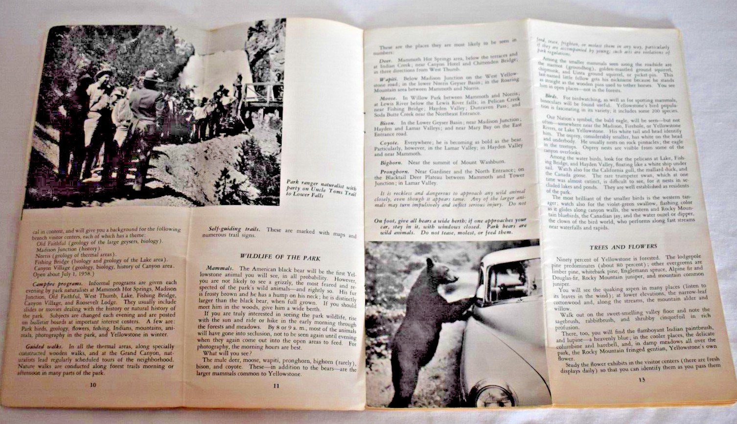 Lot of 2 YELLOWSTONE NATIONAL PARK REGION SOUVENIR MAP & GUIDE 1958 & 1962/63