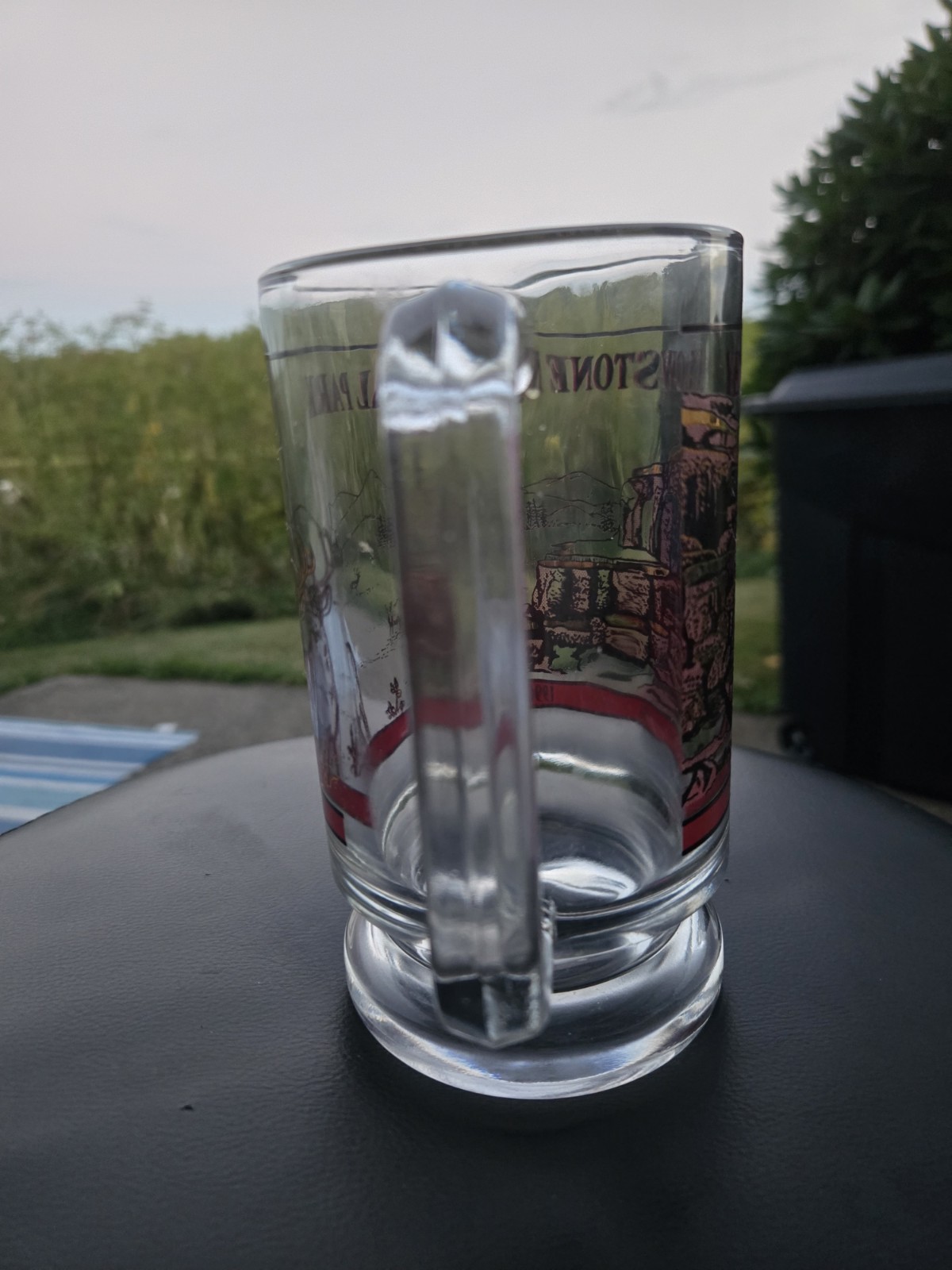 Vintage 1996 Yellowstone National Park Souvenir Glass Mug Beer Stein Wildlife…