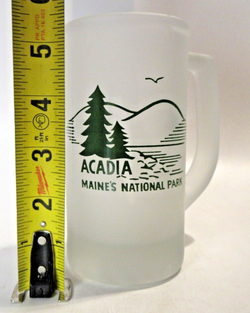 Acadia National Park Souvenir Frosted Glass Drinking Mug
