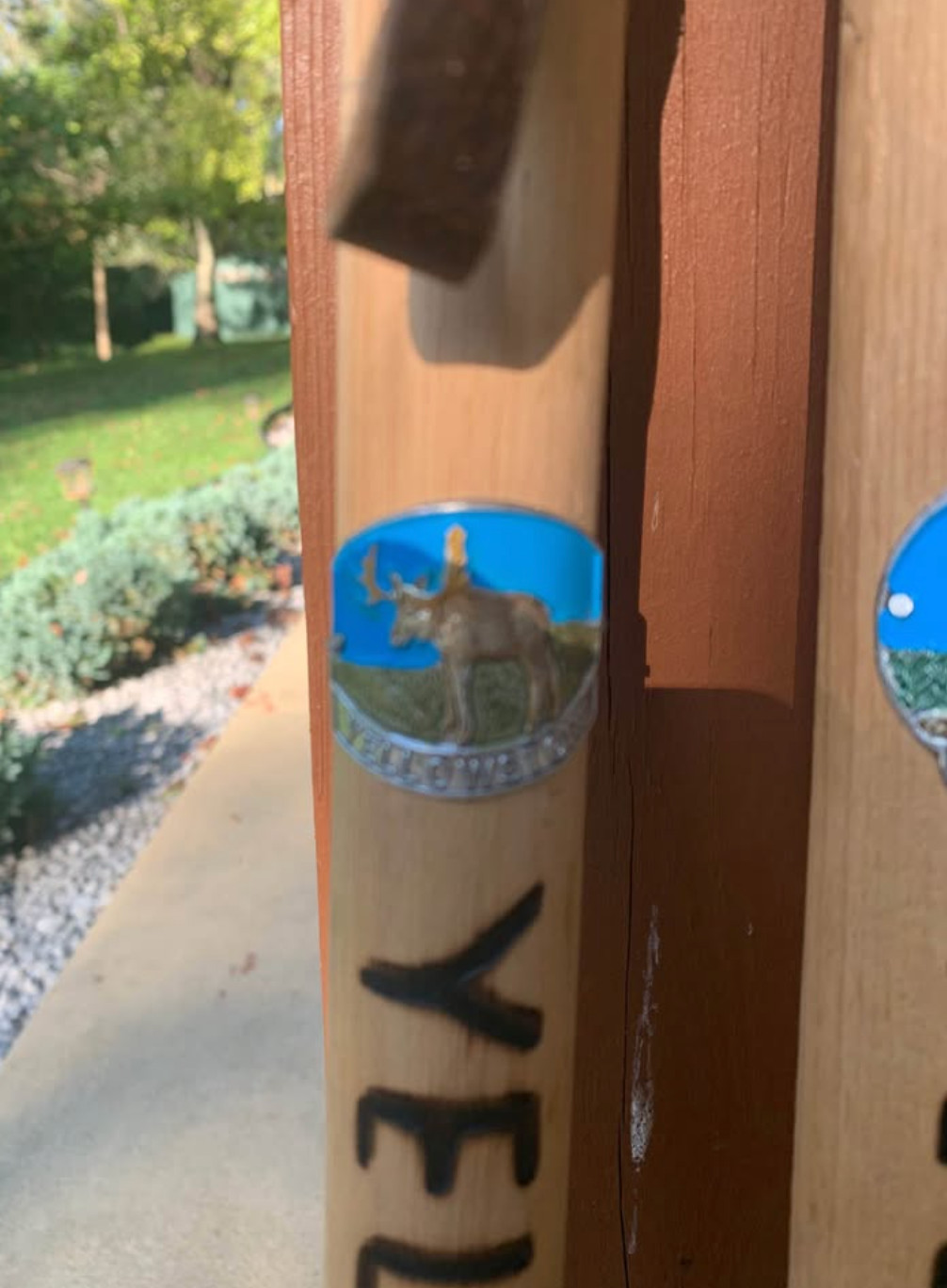 Two Yellowstone Park wanderstock for hiking