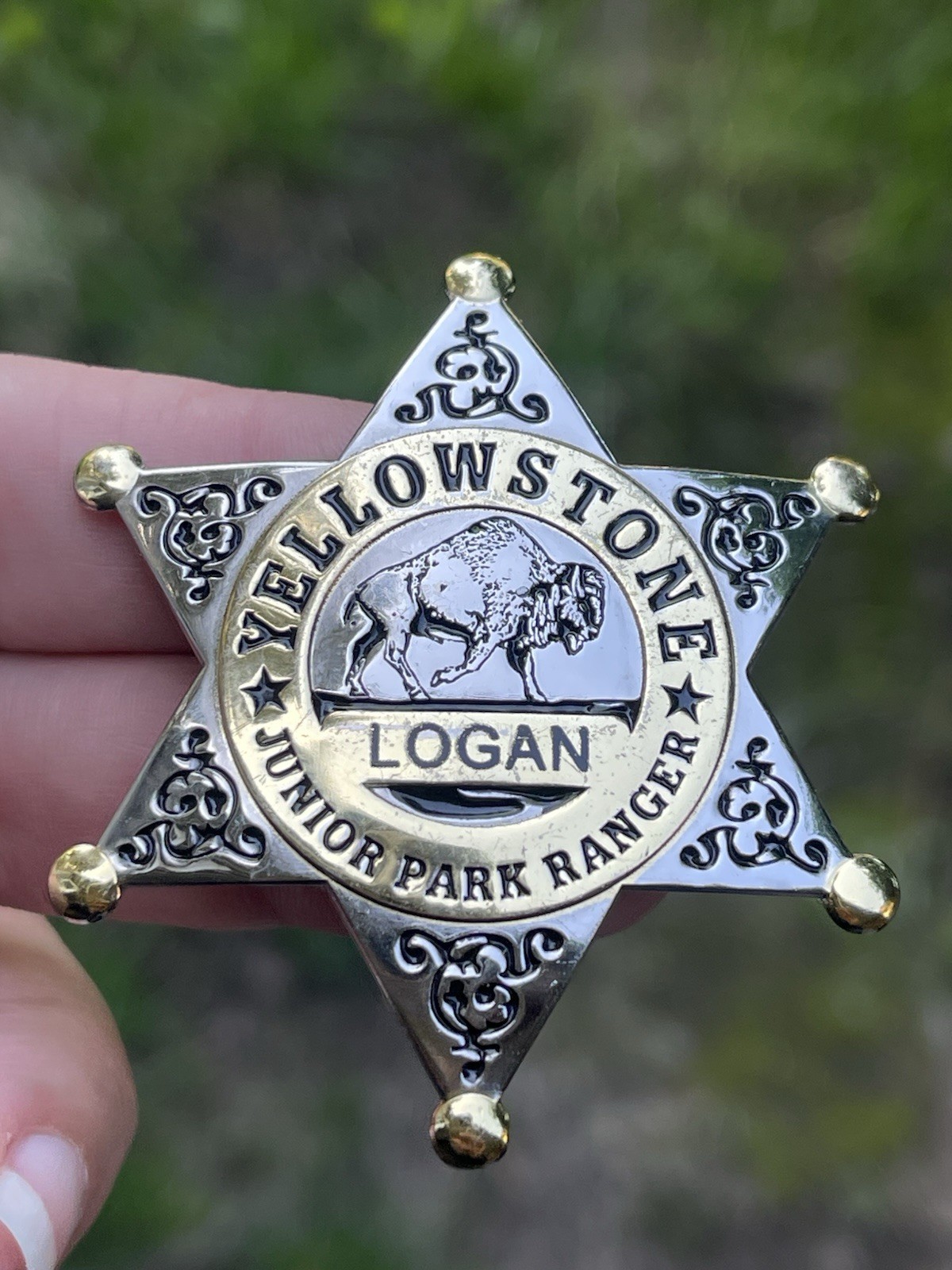 Vintage Yellowstone Junior Park Ranger Star Logan Name Badge Pin Pinback 2″