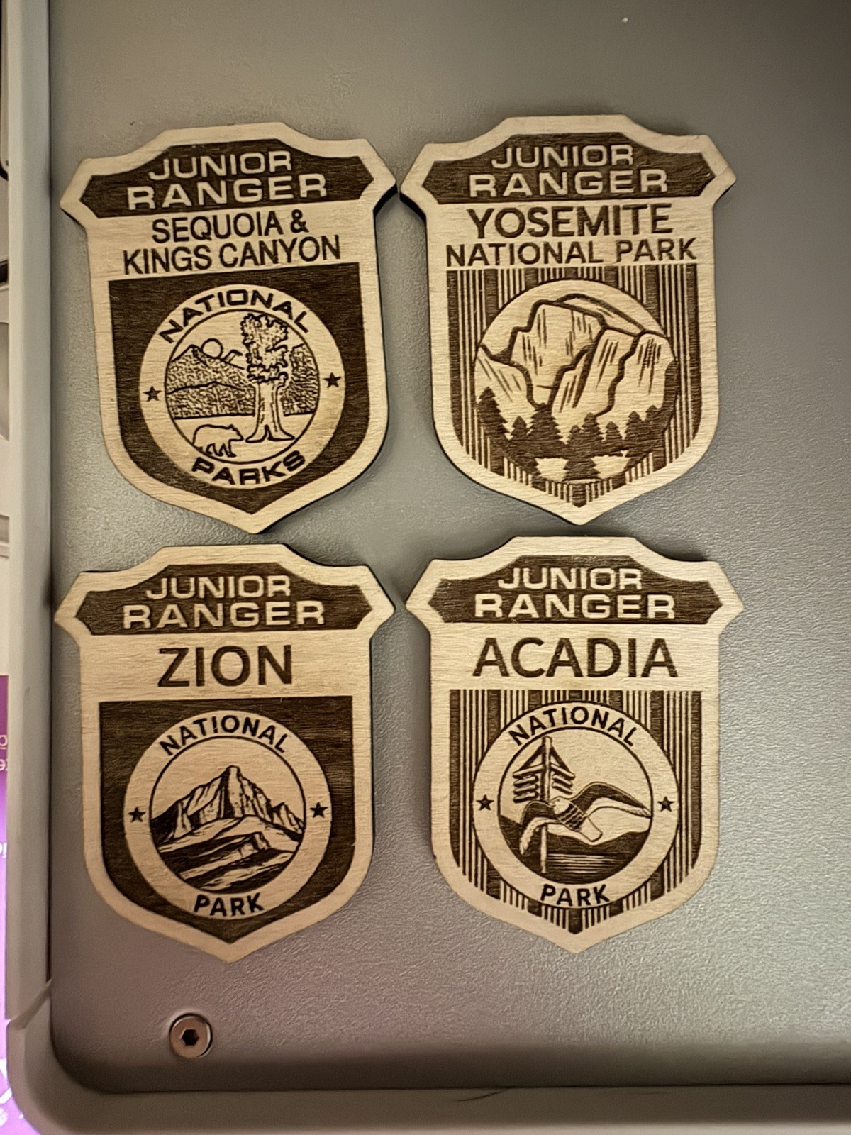 All National Park Service Junior Ranger Badges – Sold Individually