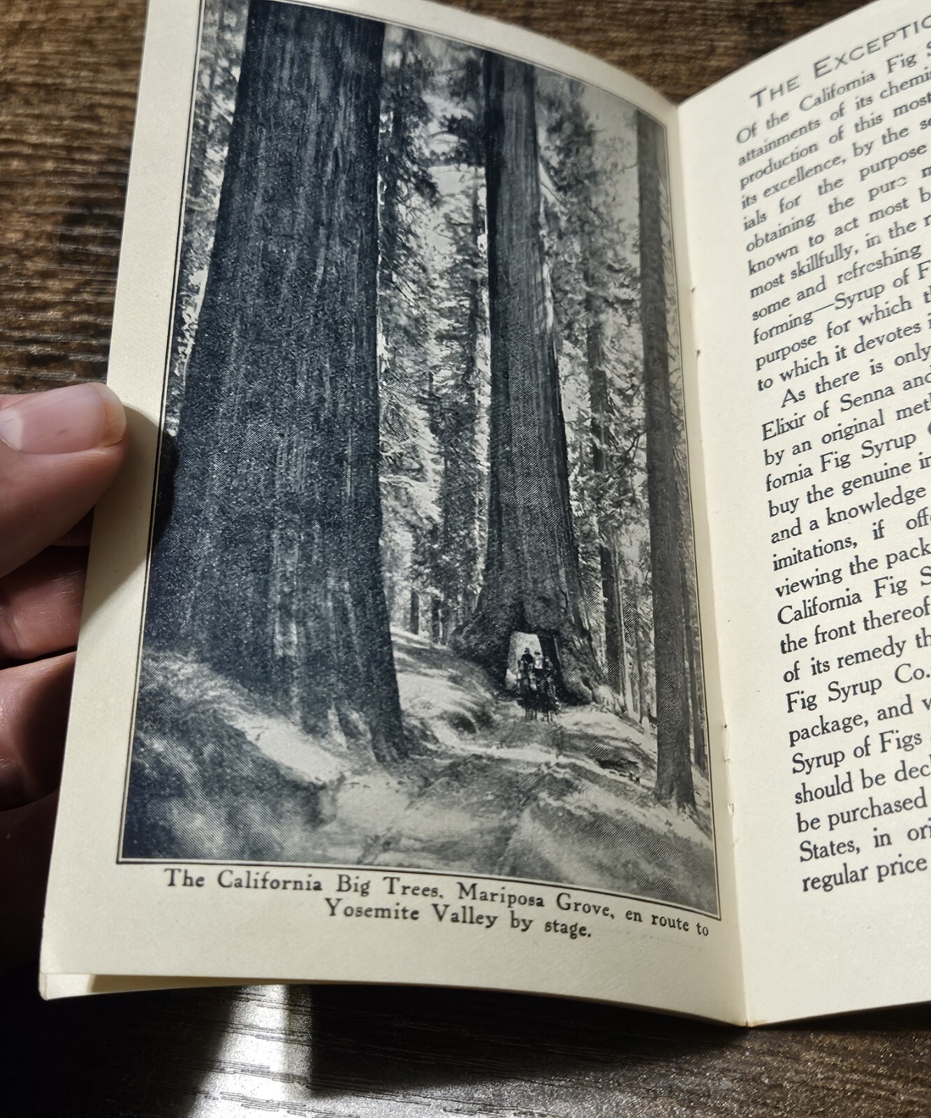c1900 California Fig Syrup Travel Brochure Yosemite Lake Tahoe Shasta Santa…