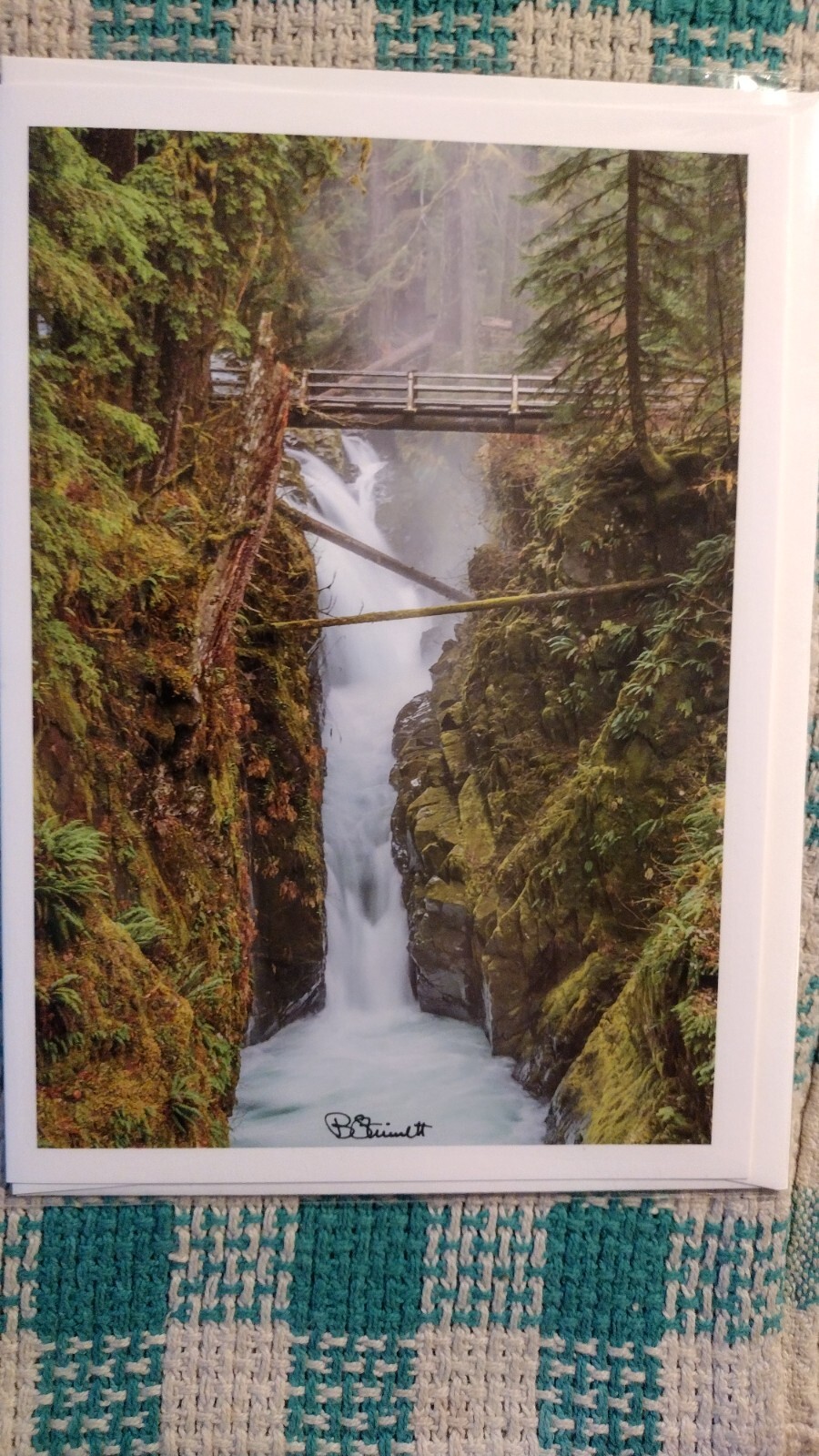 8 X 10 GREETING CARD “SOL DUC FALLS” OLYMPIC NATIONAL PARK WASHINGTON PACIFIC