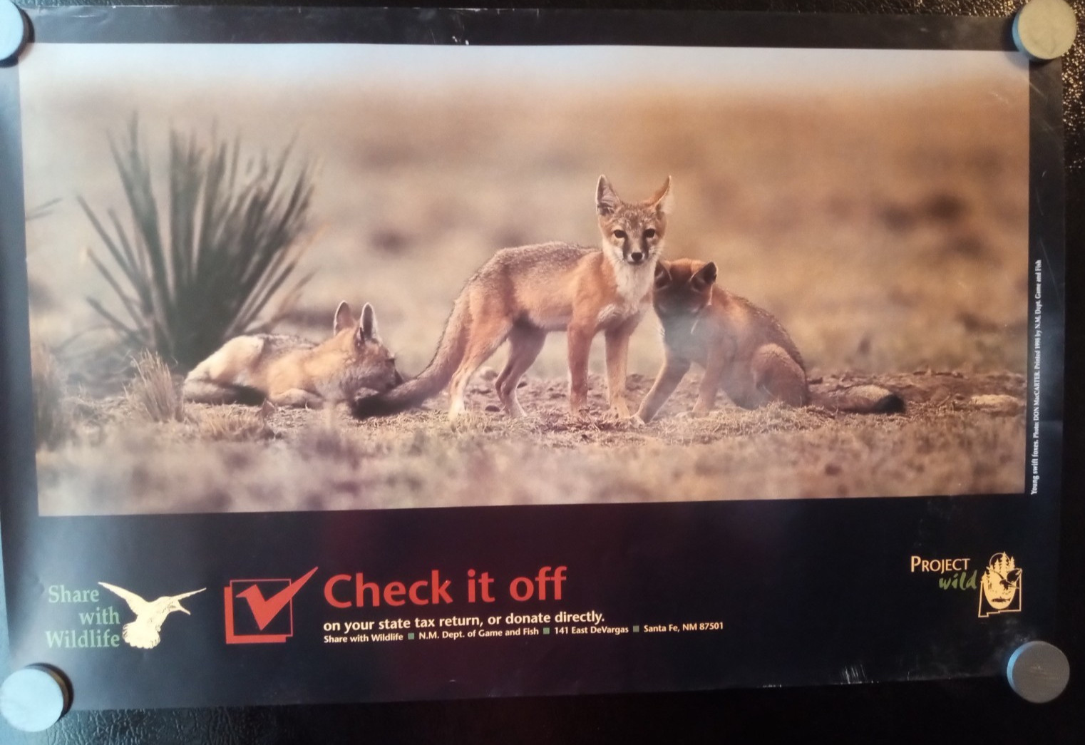 Lot of 5 Vintage National Watchable Wildlife Refuge Posters, Sandhill Crane BLM