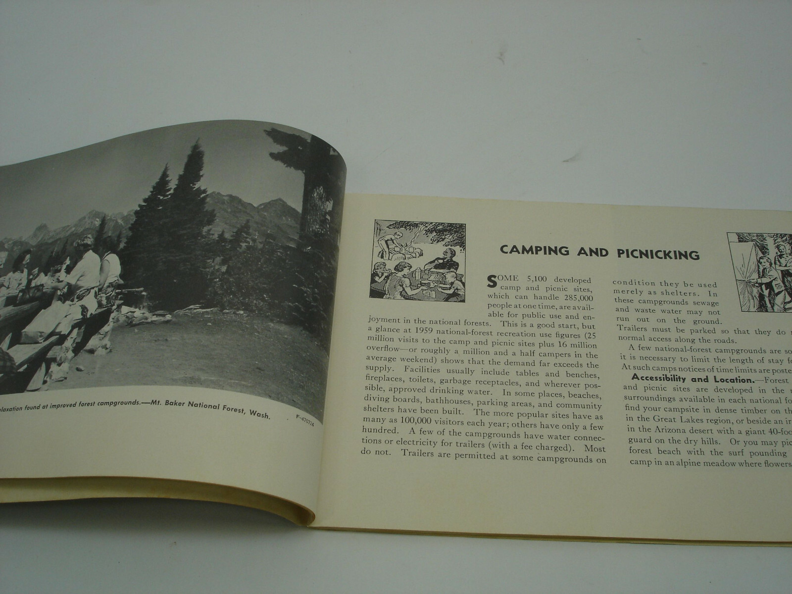 1960 NATIONAL FOREST VACATION Book Parks by State Scenic Drives Picnics Guide