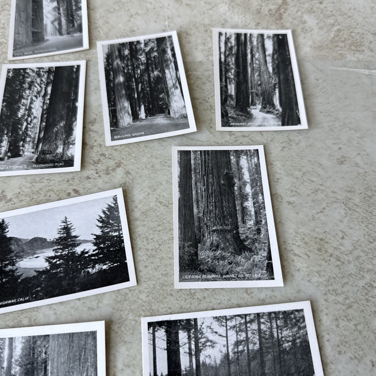 Souvenir Views Vtg picture 18 Mini Redwood Hwy CA
