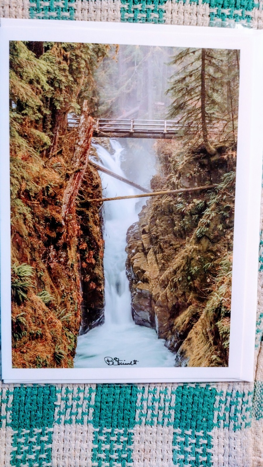8 X 10 GREETING CARD “SOL DUC FALLS” OLYMPIC NATIONAL PARK WASHINGTON PACIFIC