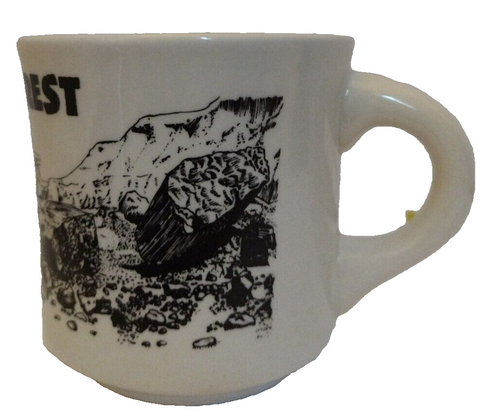 Vintage Retired Petrified Forest National Park Coffee Mug Made In England.