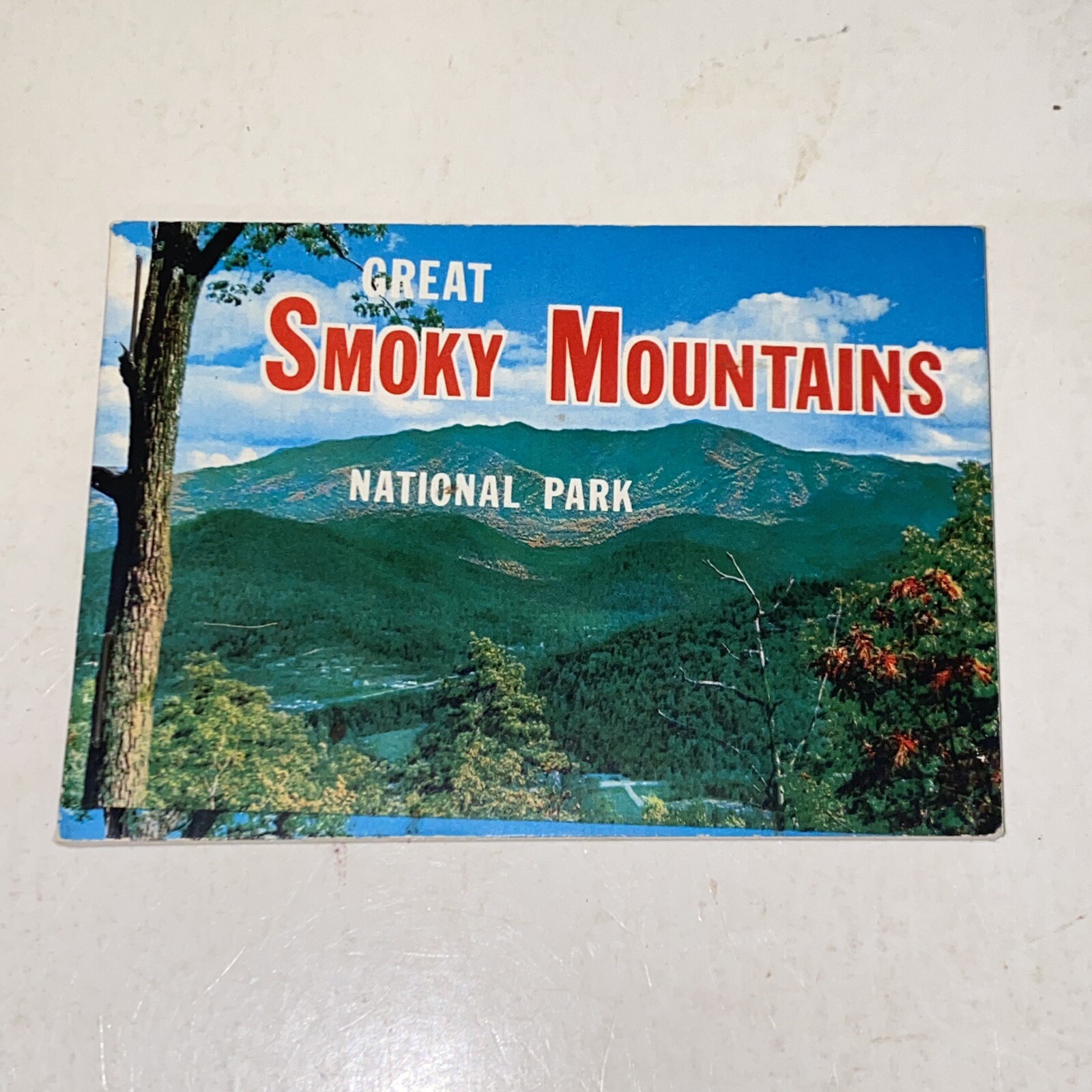 Vintage Great Smoky Mountains National Park Souvenir Color Photo Picture Book