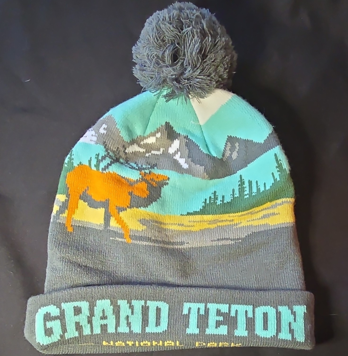 Northern Icons Grand Teton National Park Knit Pom Beanie Hat OSFA Gray Teal