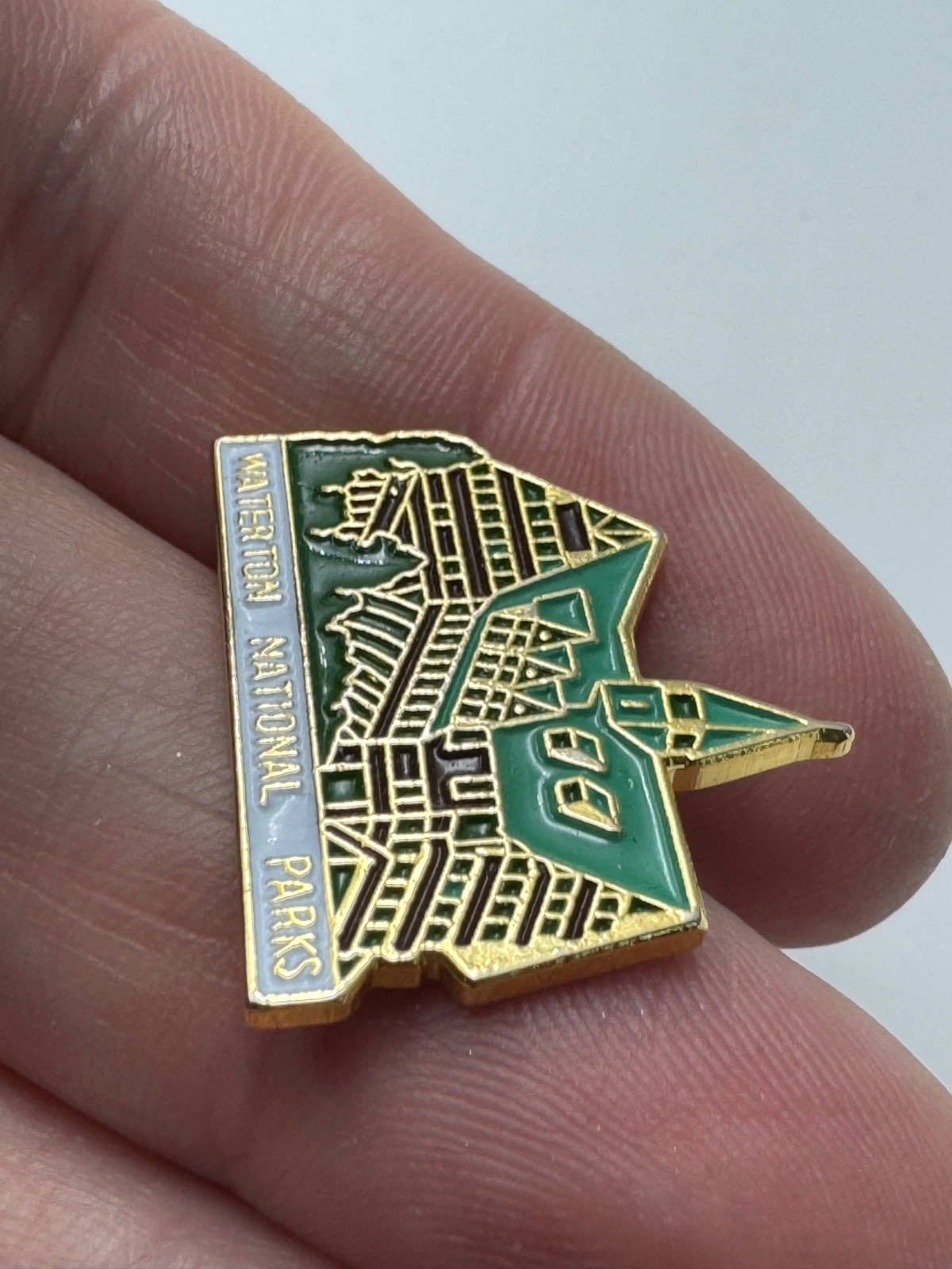 Vintage Waterton National Parks Lodge Scenic Alberta Canada Souvenir Lapel Pin
