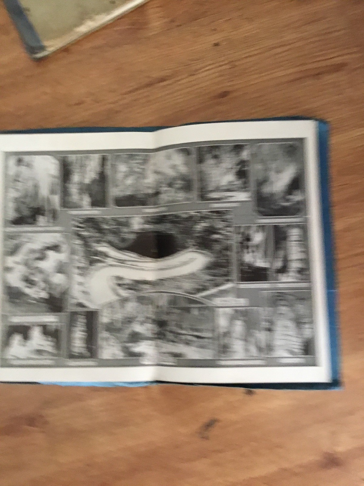 Vtg Carlsbad Cavern of New Mexico Its History Geology 9th Edition 1928