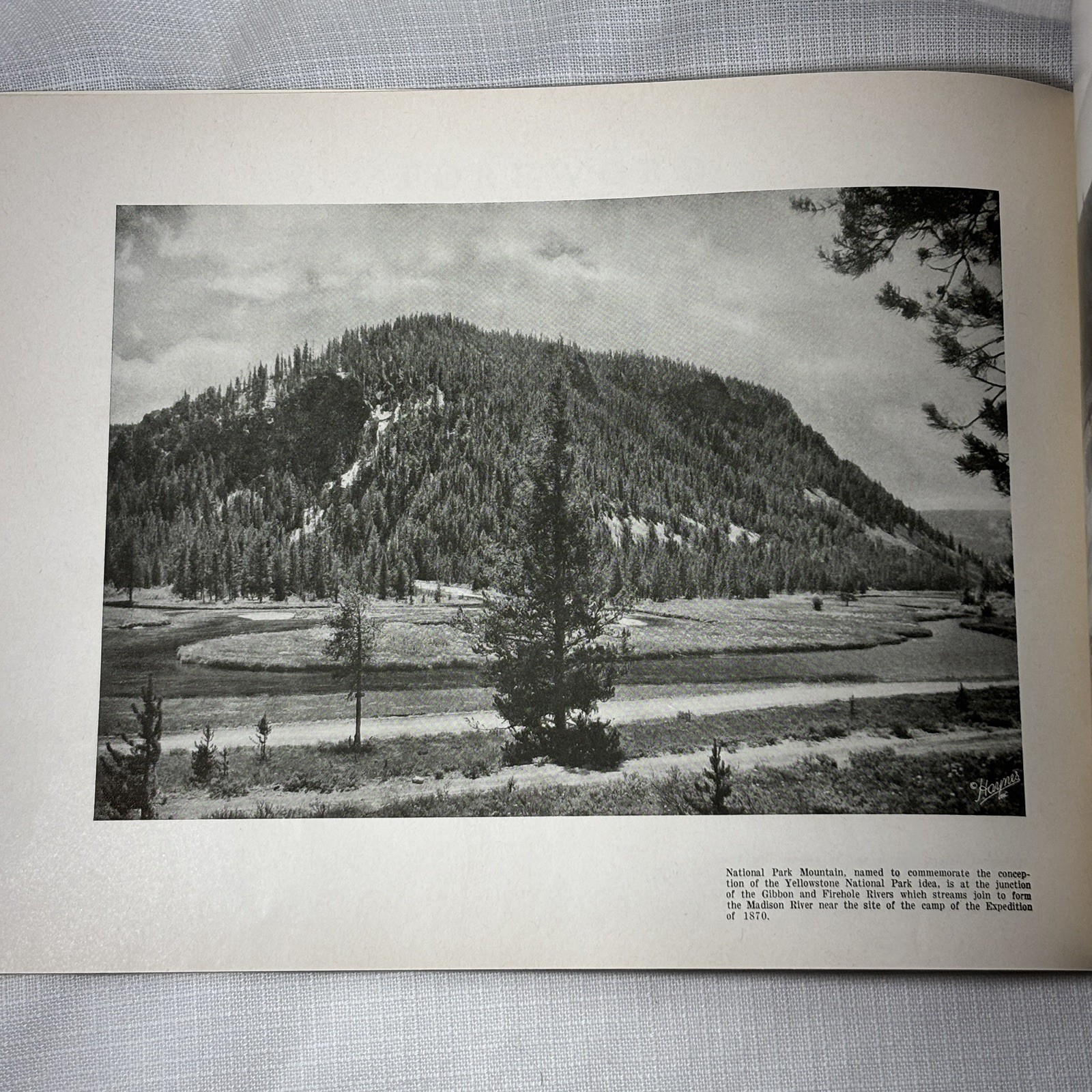 Haynes Souvenir Album Yellowstone National Park Vtg Old Faithful Booklet 1949