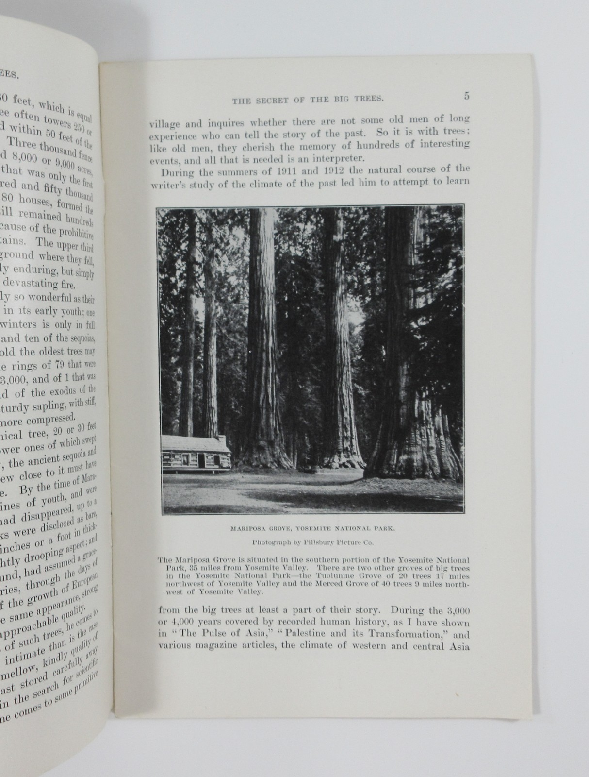 Yosemite Sequoia General Grant National Park Secret Big Trees Booklet DOI 1913