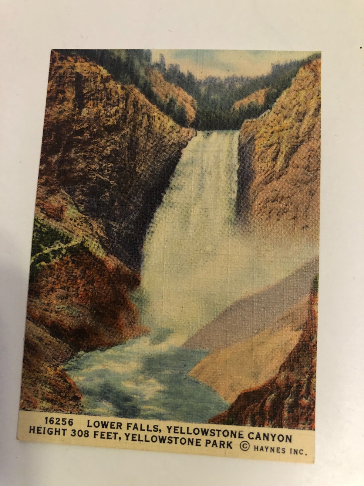 10 Haynes Inc small (2.5 x 3.5) Yellowstone color prints