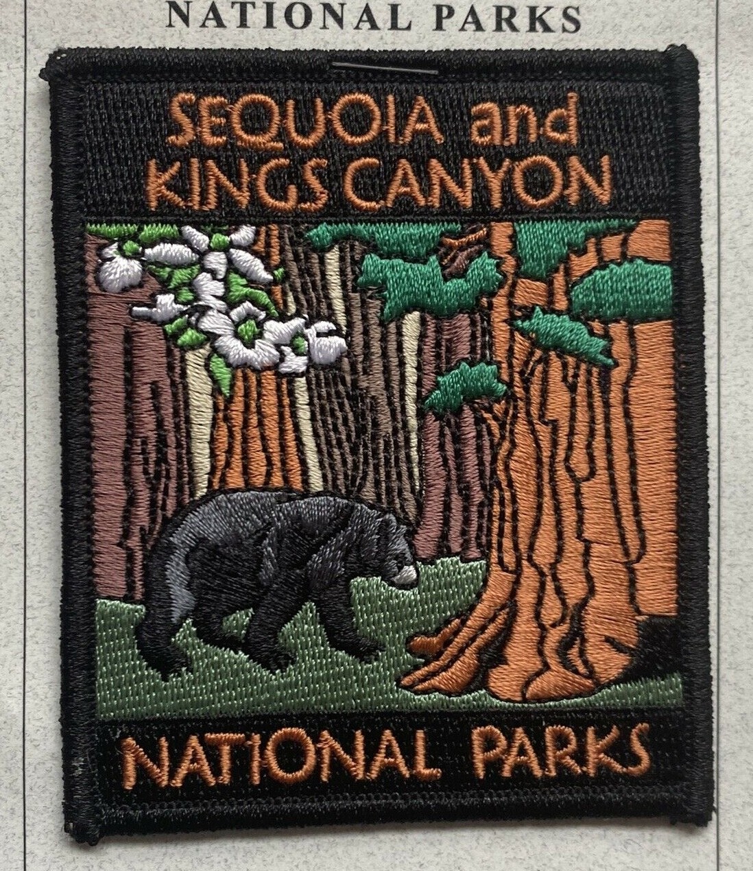 NIP Sequoia and Kings Canyon National Parks Dogwood Flowers Black Bear Patch