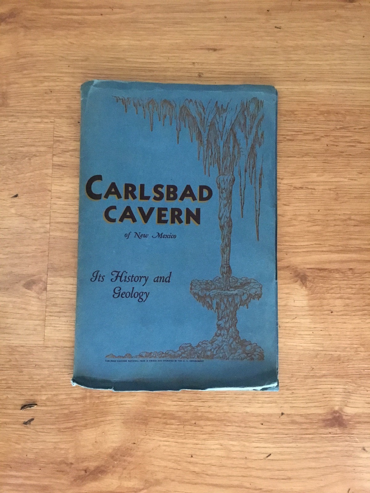 Vtg Carlsbad Cavern of New Mexico Its History Geology 9th Edition 1928