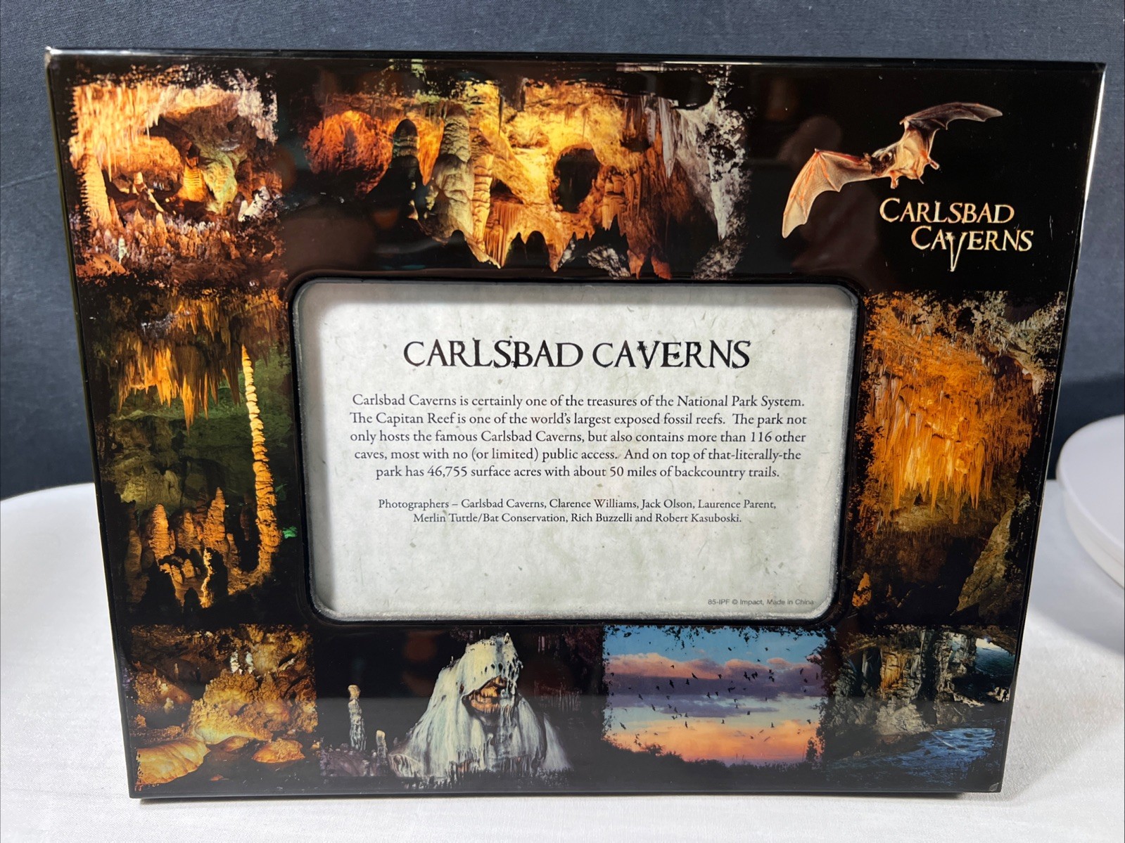Vintage Carlsbad Caverns Black Lacquer Souvenier Photo Frame Cave /bat Pictures