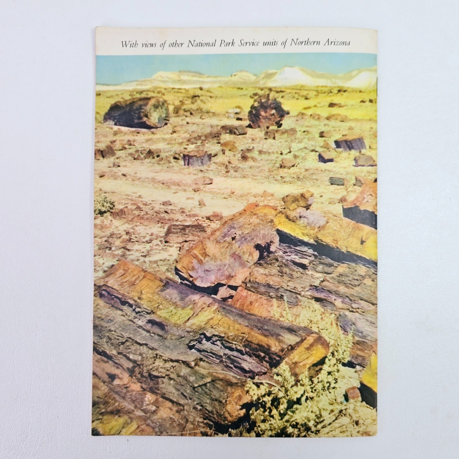 1951 A Story of The Petrified Forest Agatized Rainbows Popular Series No. 3 Book