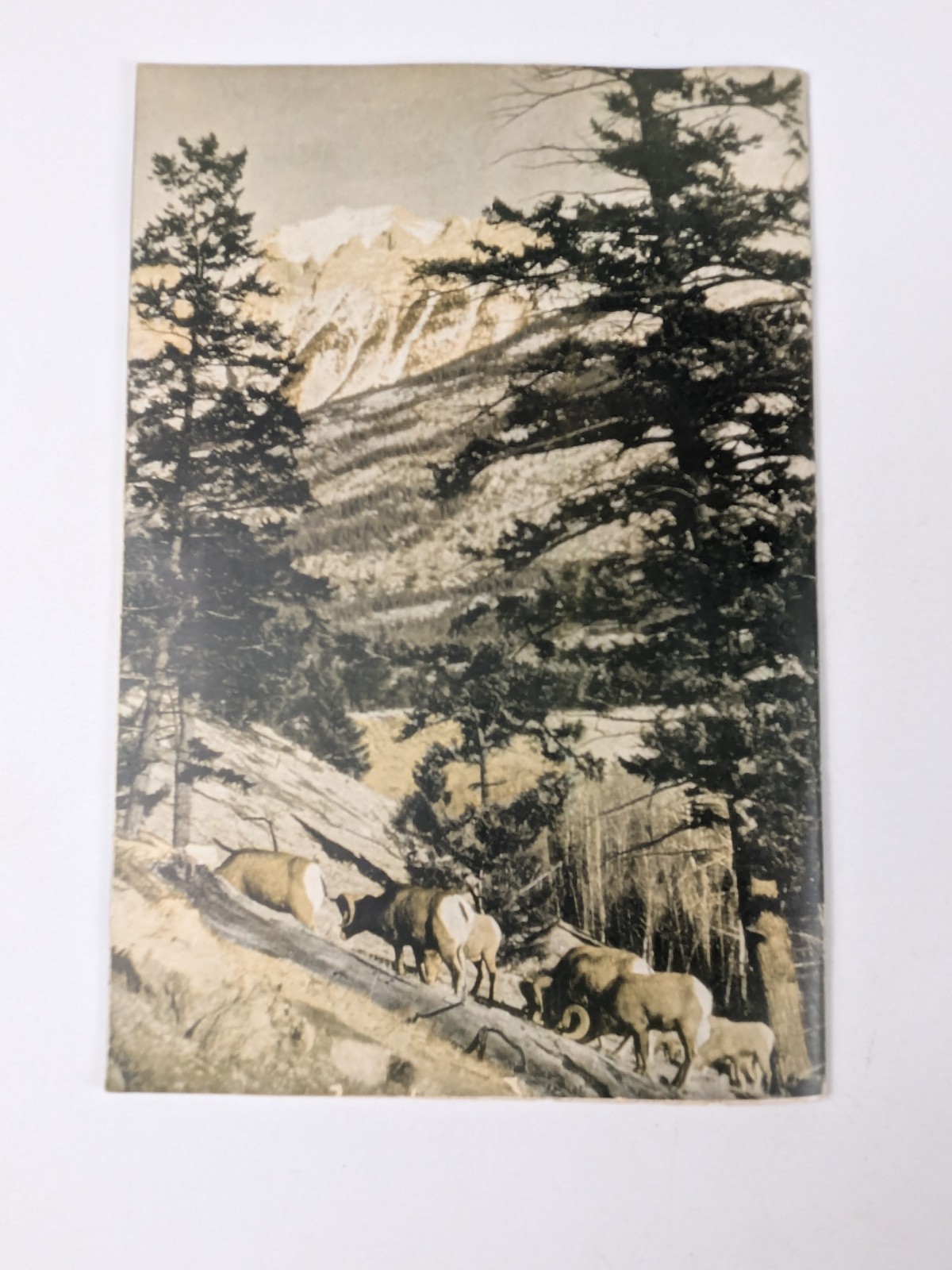 C1940-50s – Canadas Mountain Playgrounds National Parks Guide – B14