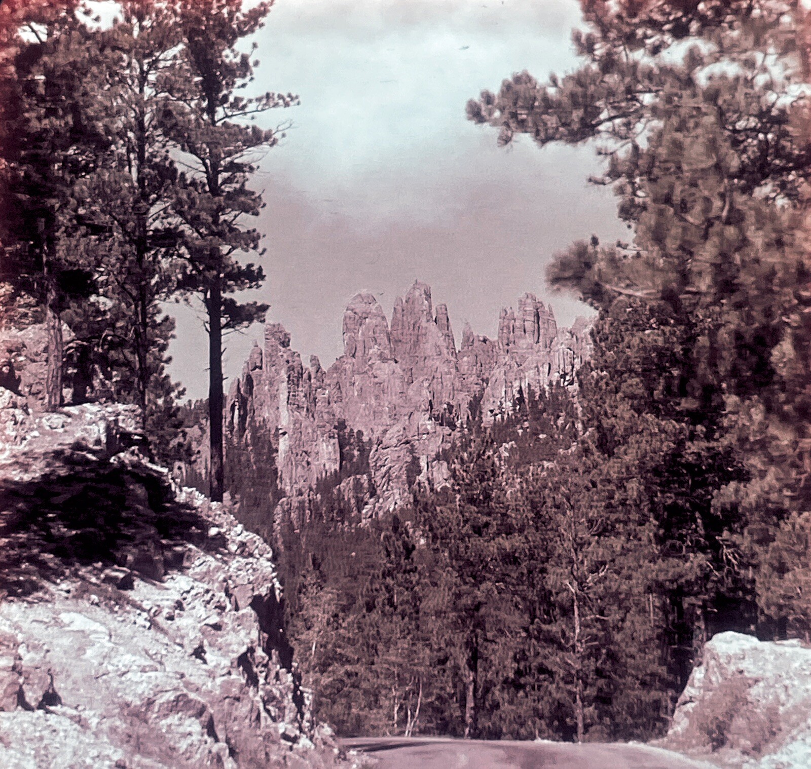 Lot of 15 Vintage MT RUSHMORE BLACK HILLS Pana-Vue Slide 35mm National Park 1962