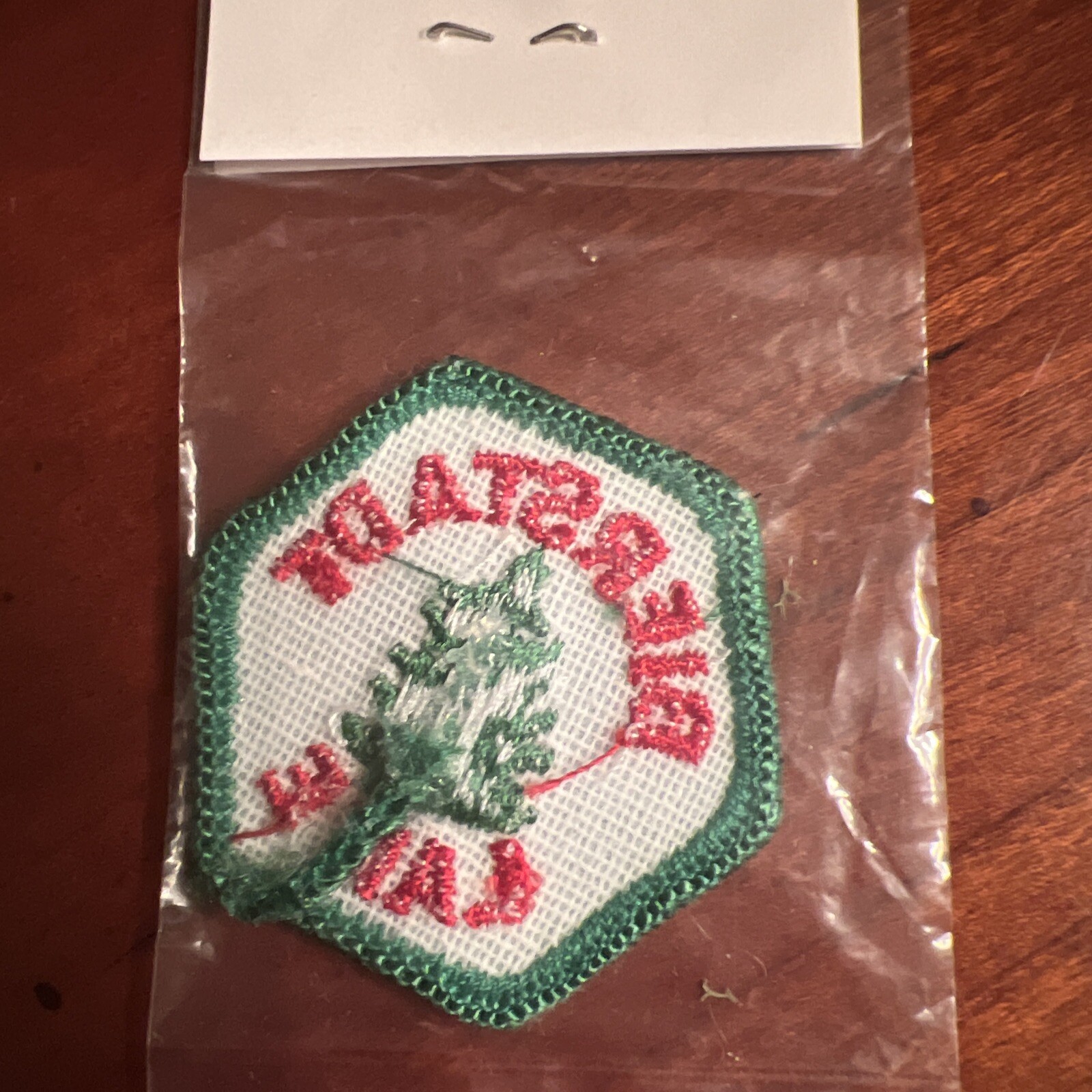 Bierstadt Lake Colorado National Park Trail Tag 1972 Patch Vintage NOS