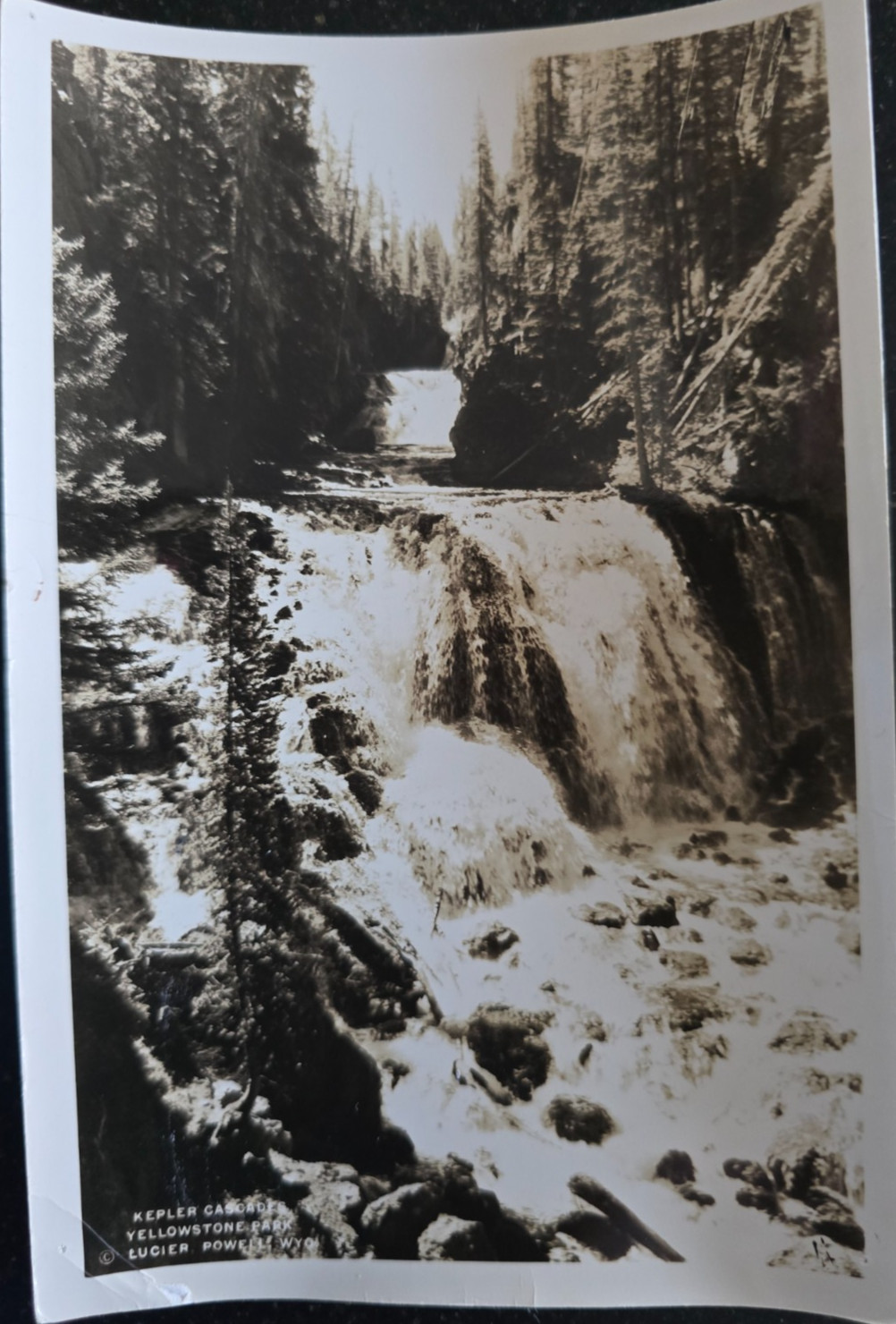 17 Real Photos, Yellowstone Park, 1930’s, Albert Lucier, Powell, Wyoming