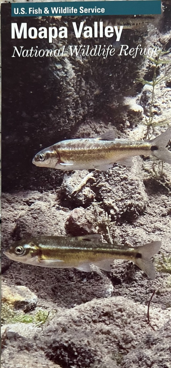 New MOAPA VALLEY REFUGE – NV U.S. Fish & Wildlife RACK CARD BROCHURE Not NPS