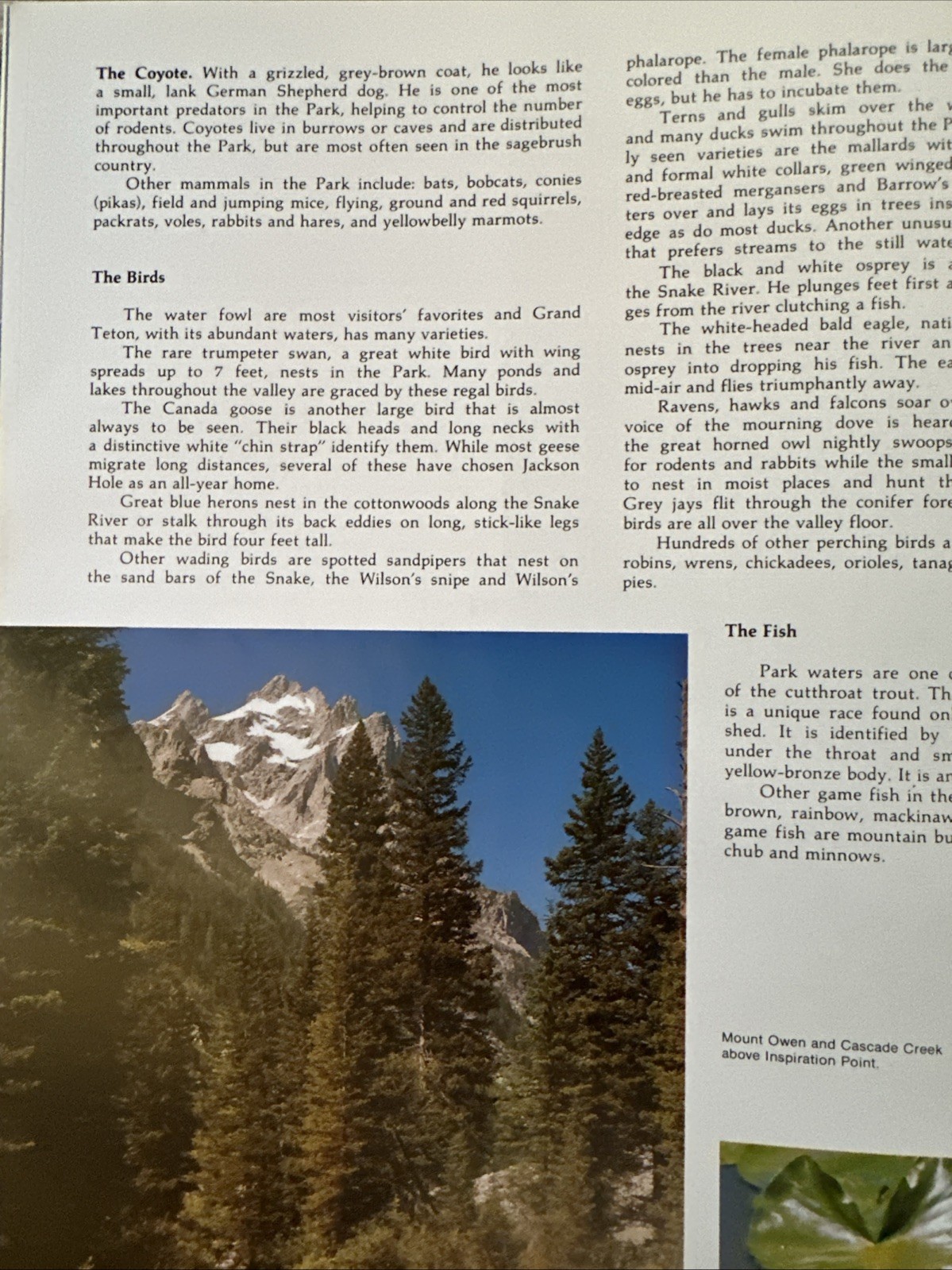 National Parkways Grand Teton National Park Guide Book 1976, Revised Volume II