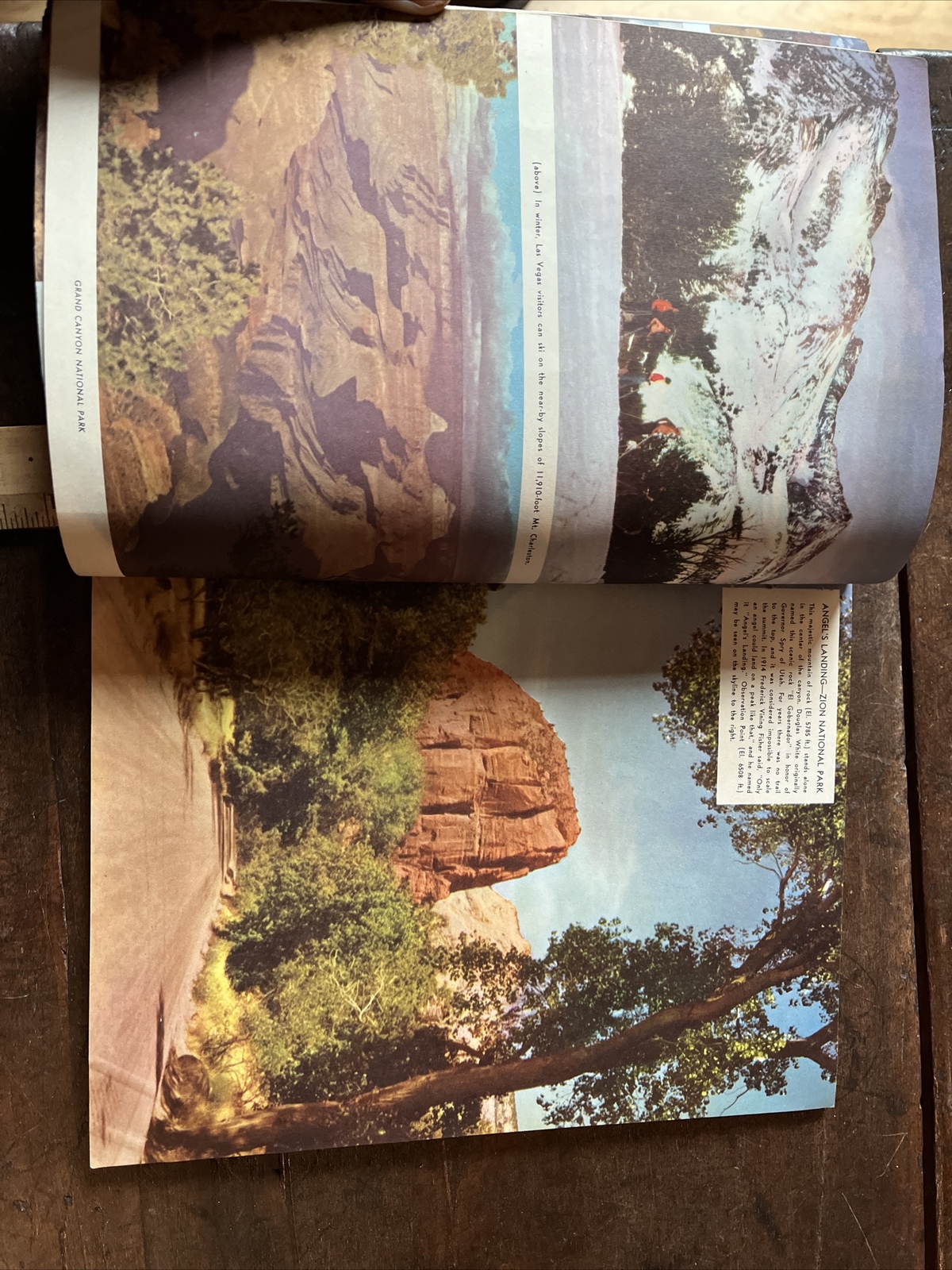 Grand Canyon Zion, Bryce, Death Valley Natl. Park 1953 Travel Book +Color Pics