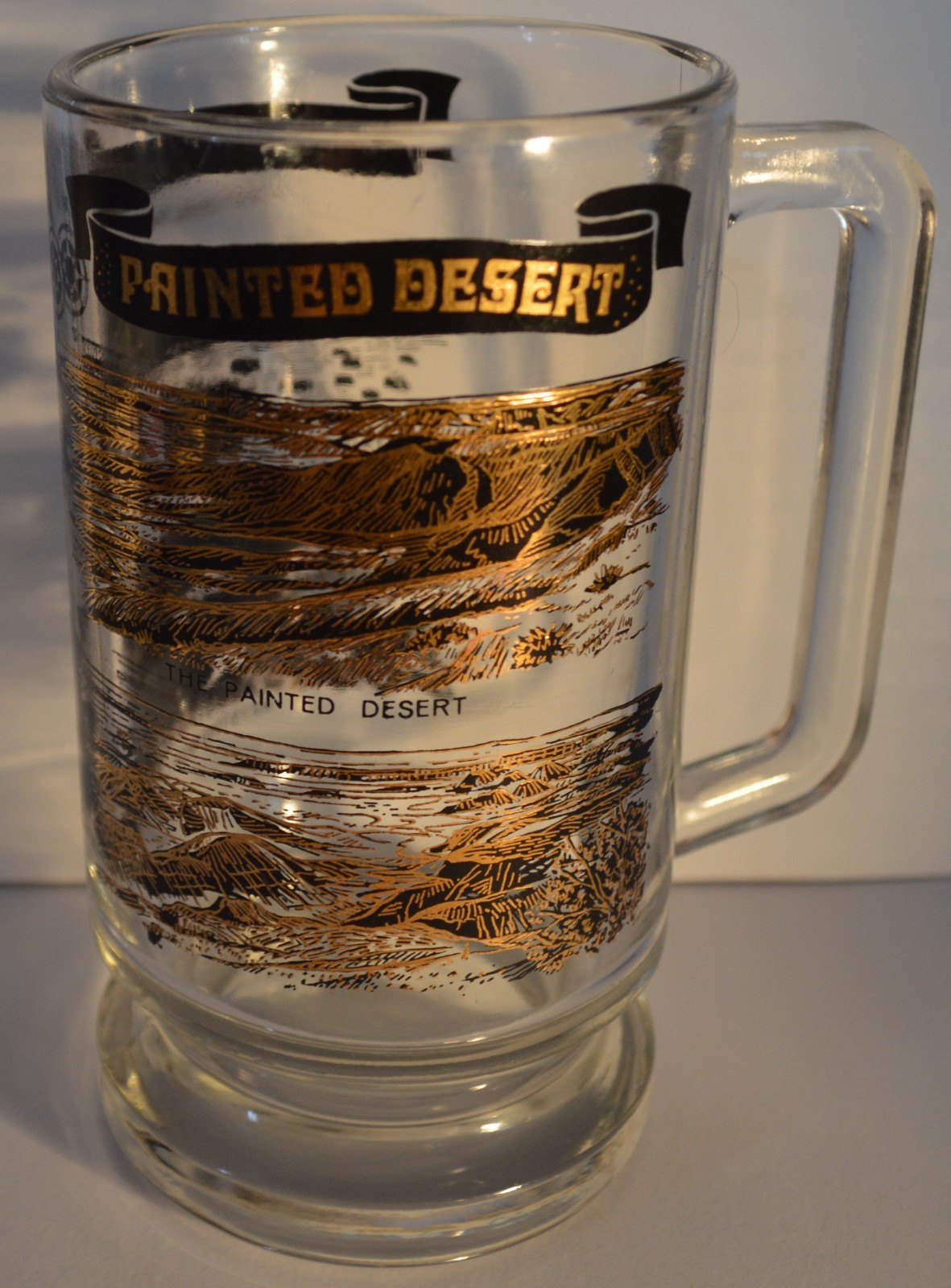Petrified Forest National Park (Painted Desert) 22k Gold Glass/Mug