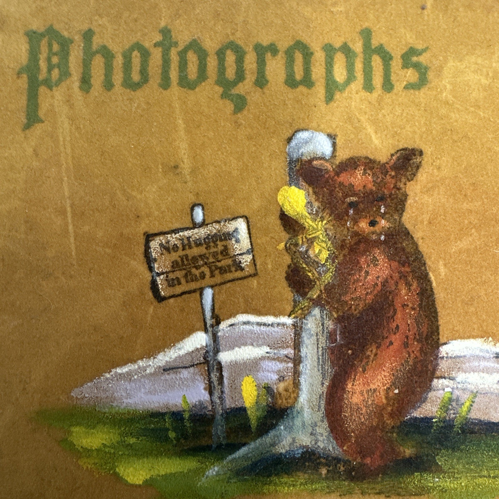 Suade Yellowstone National Park Souvenir Photo Album Hand Painted Bear 20 pages
