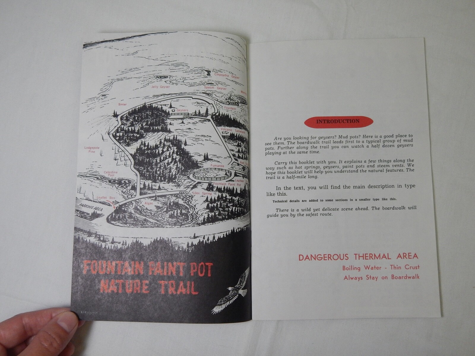 Vintage Yellowstone Maps, Brochures, Guides, Postcard, Reward Notice