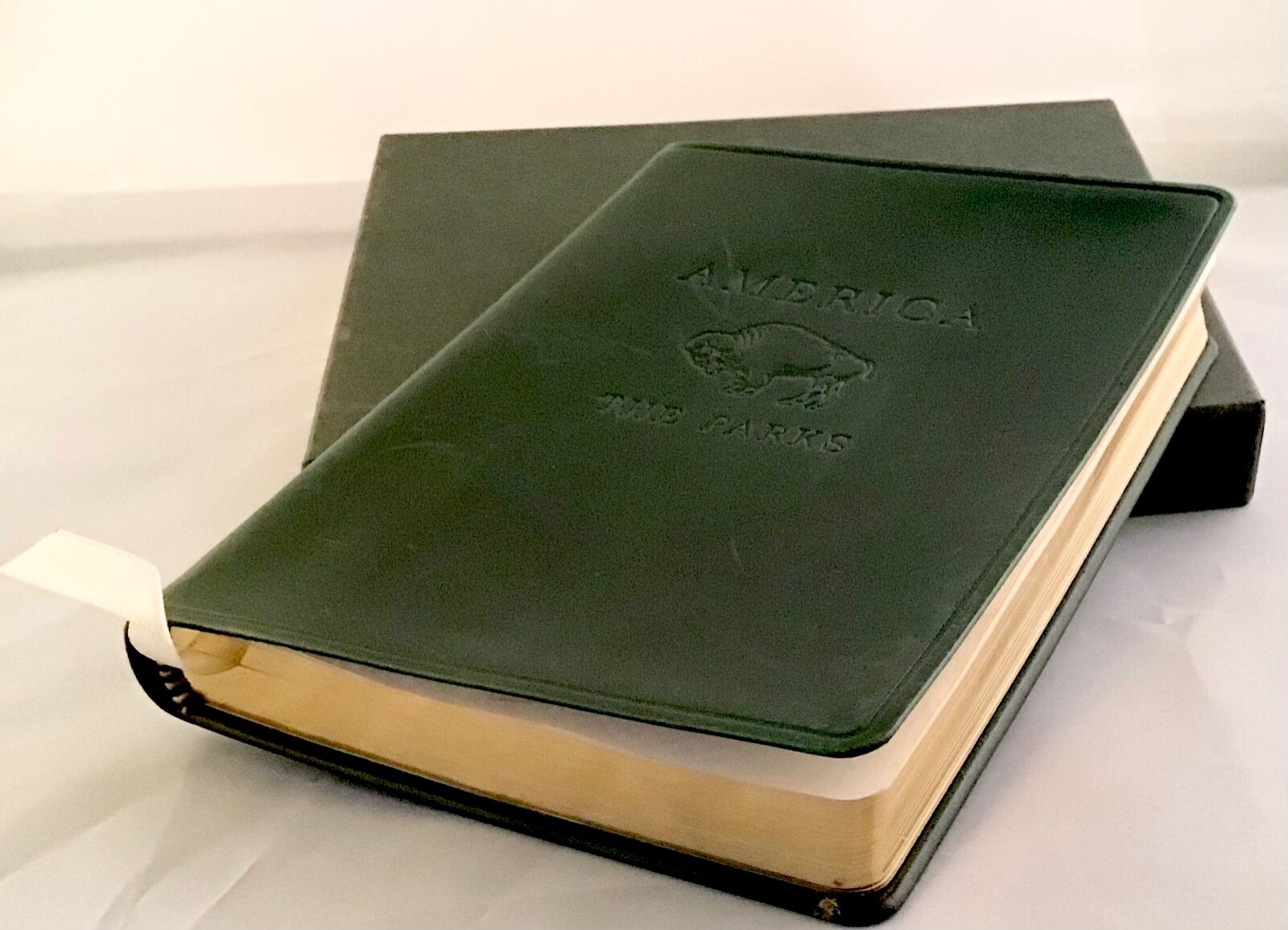 RARE BOOK AMERICA THE PARKS LEATHER BOUND BOXED
