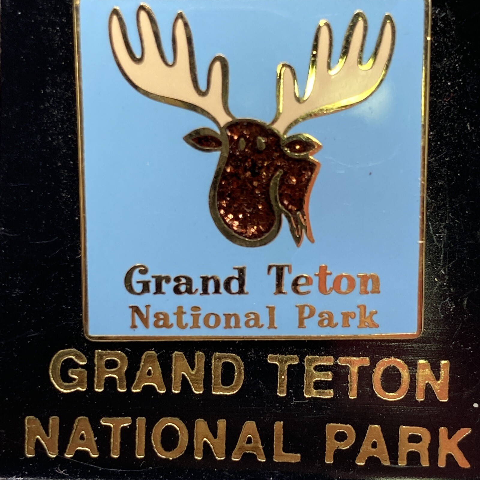 Vintage Pin Grand Teton National Park Moose sparkle Travel Souvenir animal