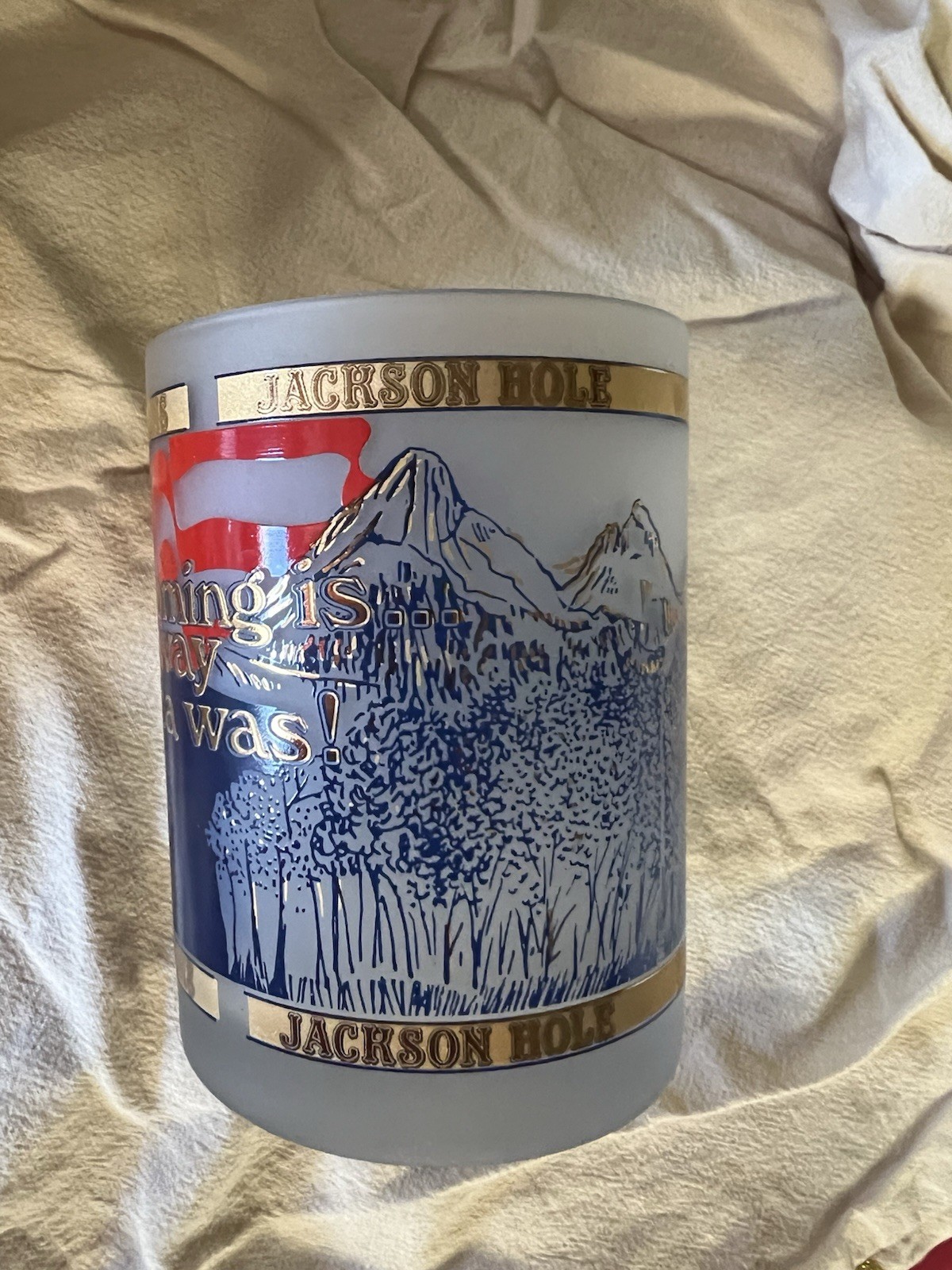 Vintage Wyoming The Way America Was Frosted Glass Tumblers w/Gold Tone Trim