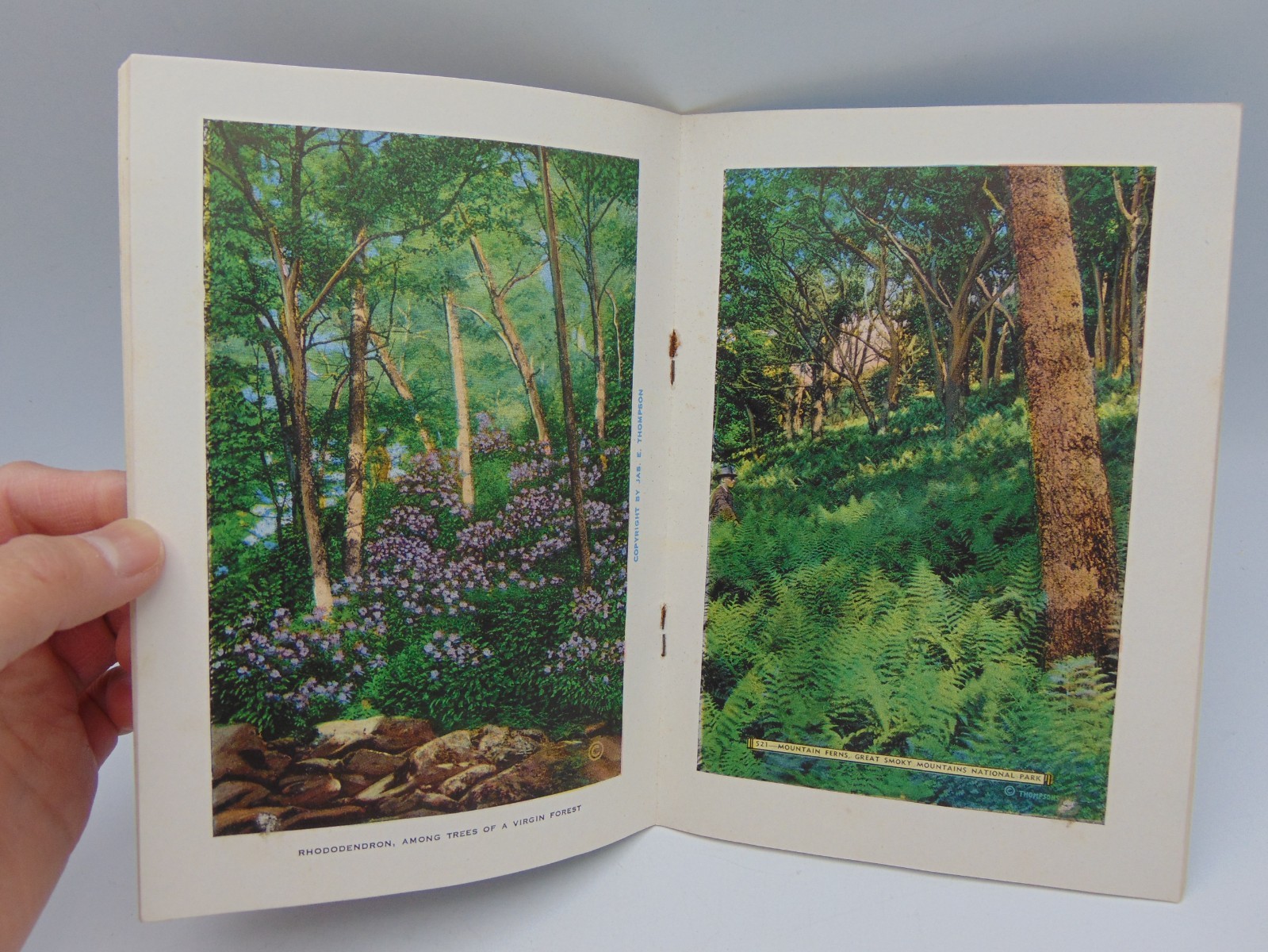 Great smoky mountains national park book vintage Jim Thompson Company 1930’s