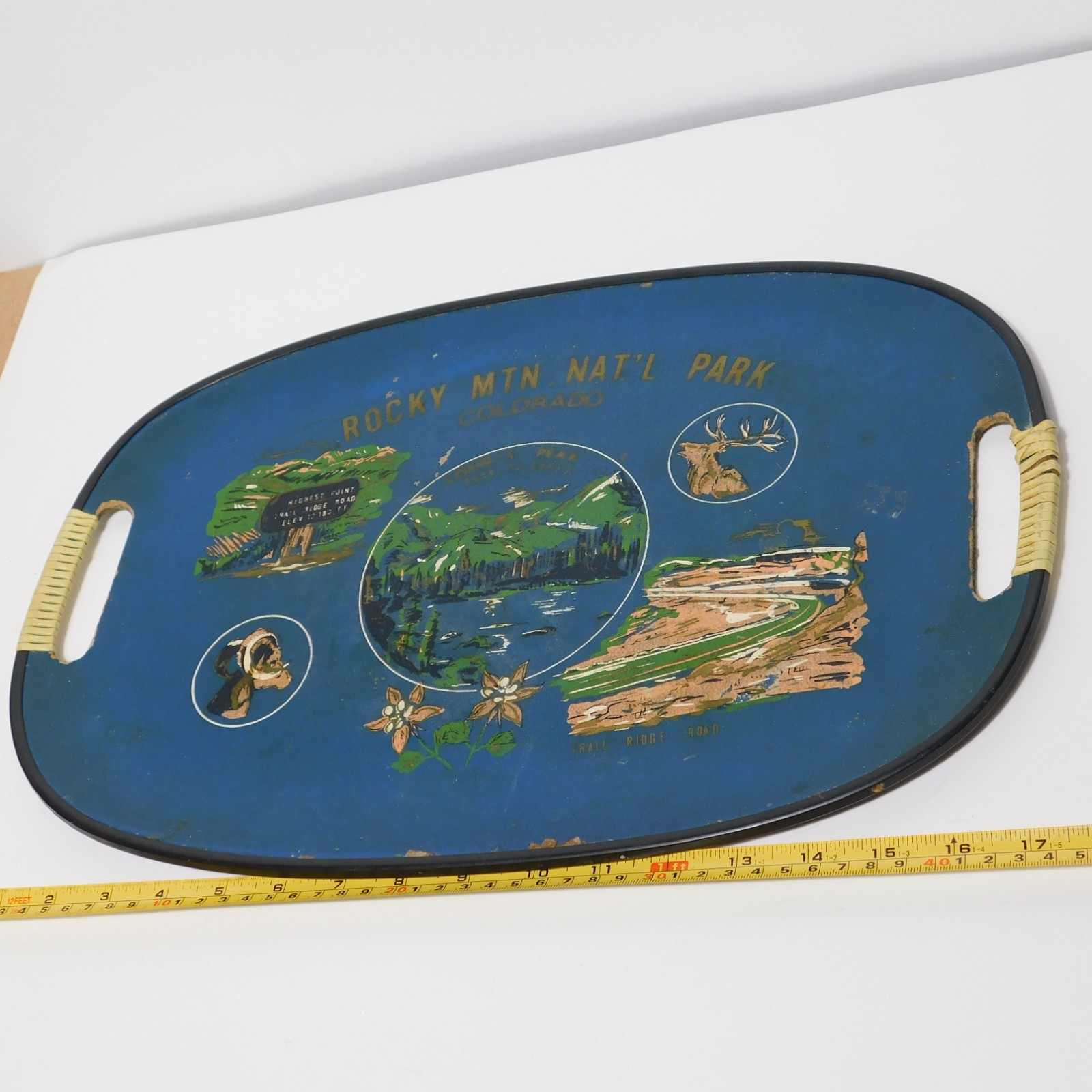 Vintage 1950s Rocky Mountains National Park Tourist Souvenir Serving Tray Japan