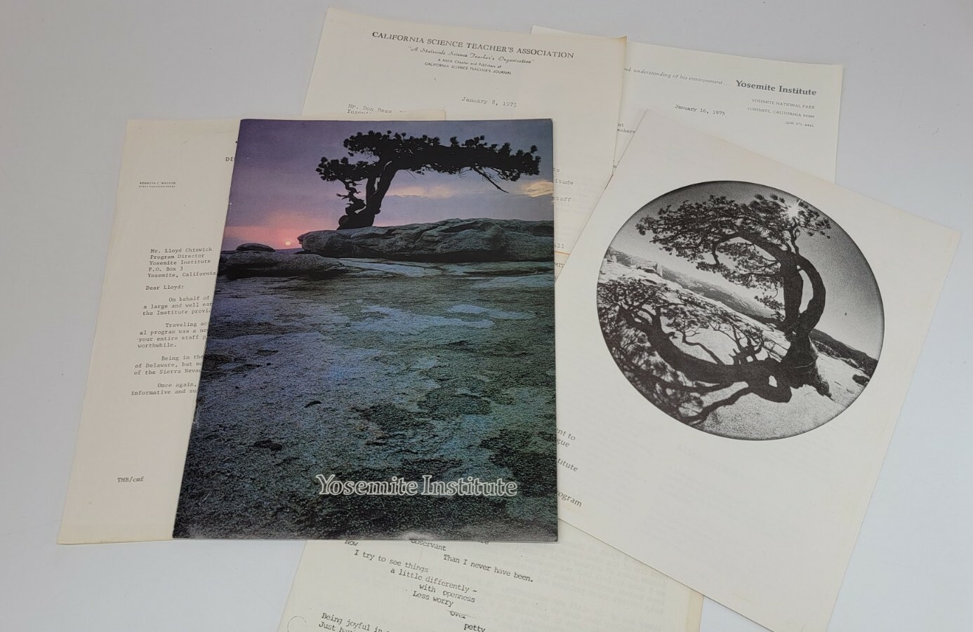 1975 Vintage Yosemite Institute Catalog / Brochure – National Park – Ansel Adams