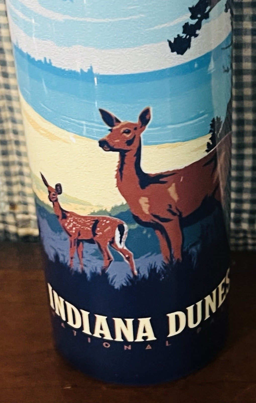 NEW Indiana Dunes National Park Travel Souvenir Thermos Stainless Steel 16oz !