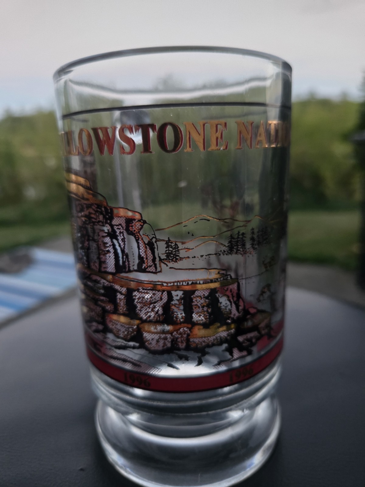 Vintage 1996 Yellowstone National Park Souvenir Glass Mug Beer Stein Wildlife…