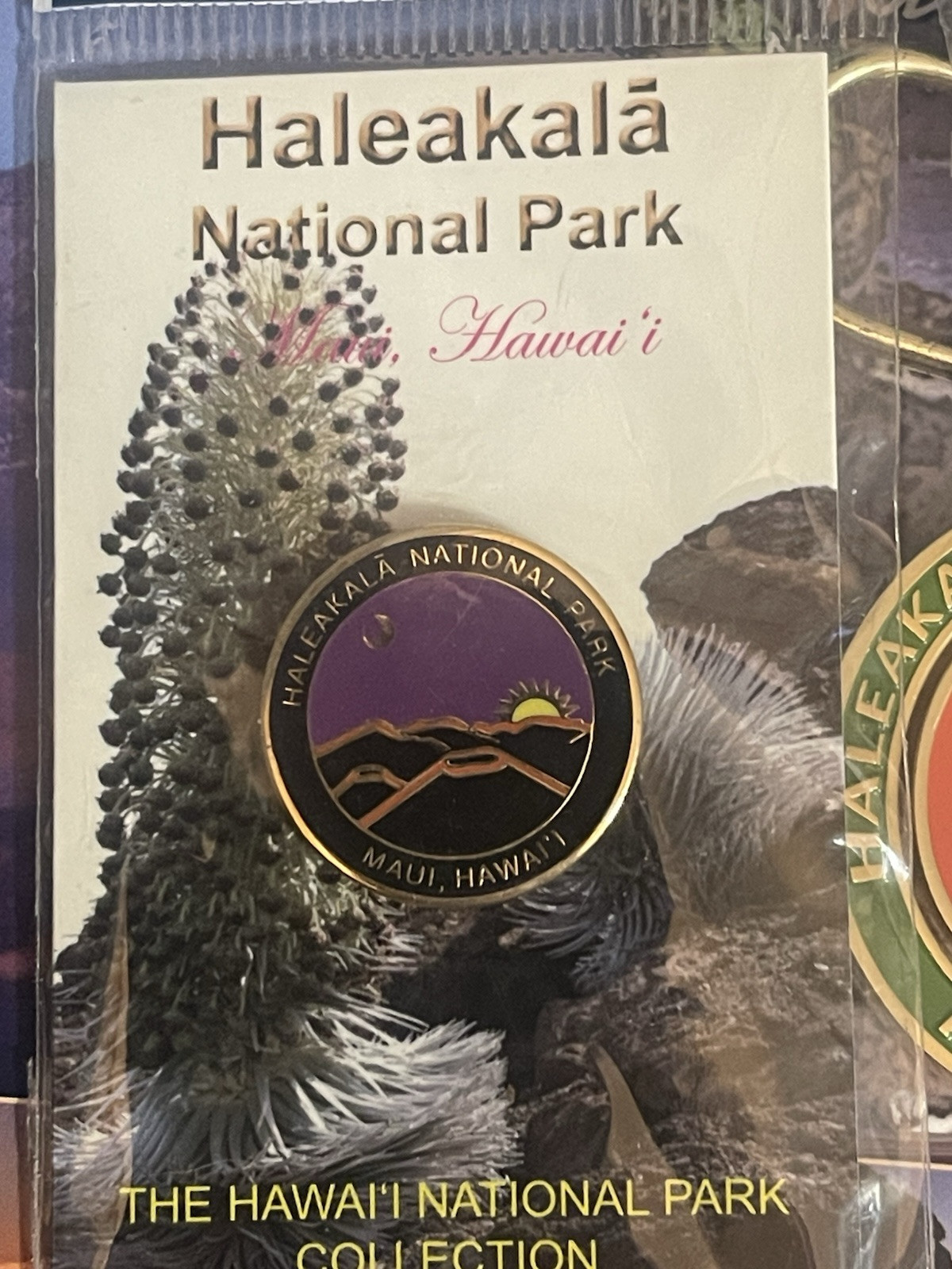 HALEAKALA NATIONAL PARK MAUI HAWAII PIN KEYCHAIN POSTCARDS SOUVENIR LOT RARE