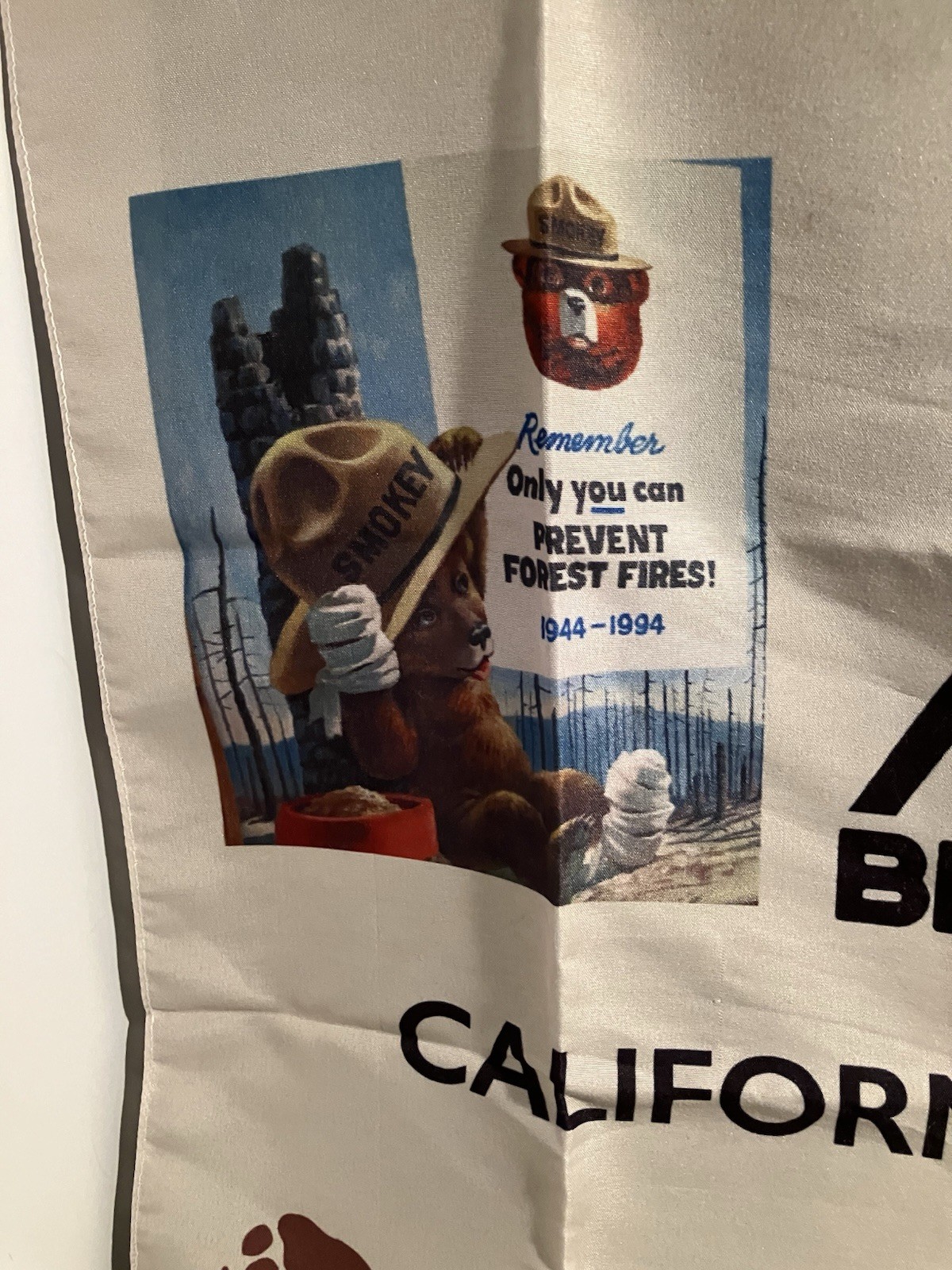 Camp Smokey Smokey The Bear 75th Birthday Scarf 2019 CA State Fair New