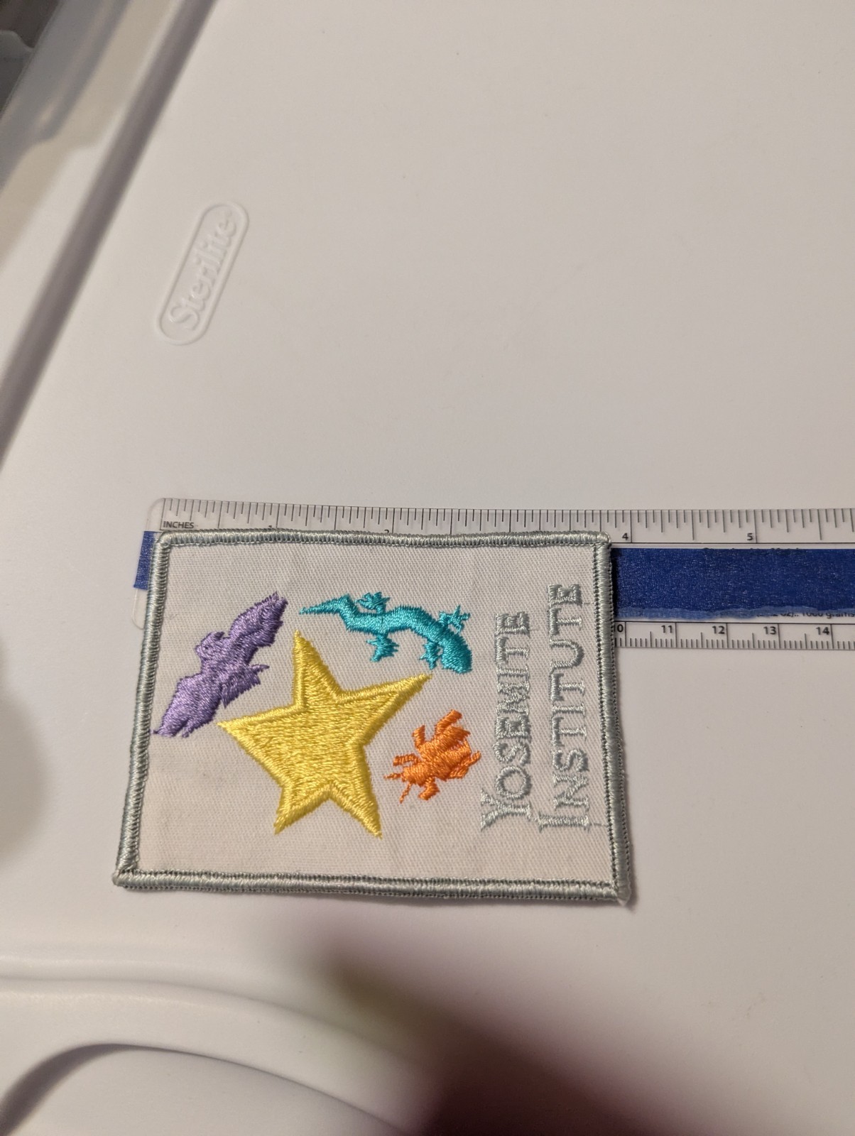 Yosemite Institute Patch (AKA Nature Bridge) Bat Star Lizard Insect on white.