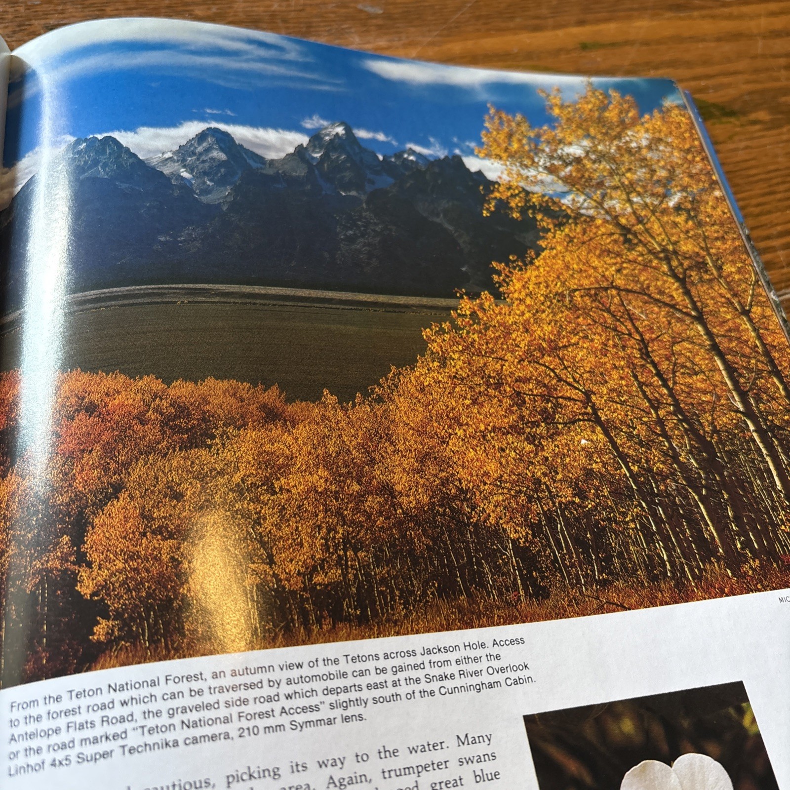 NATIONAL PARKWAYS GRAND TETON Softcover Book Michael Yandell 1976 Photos