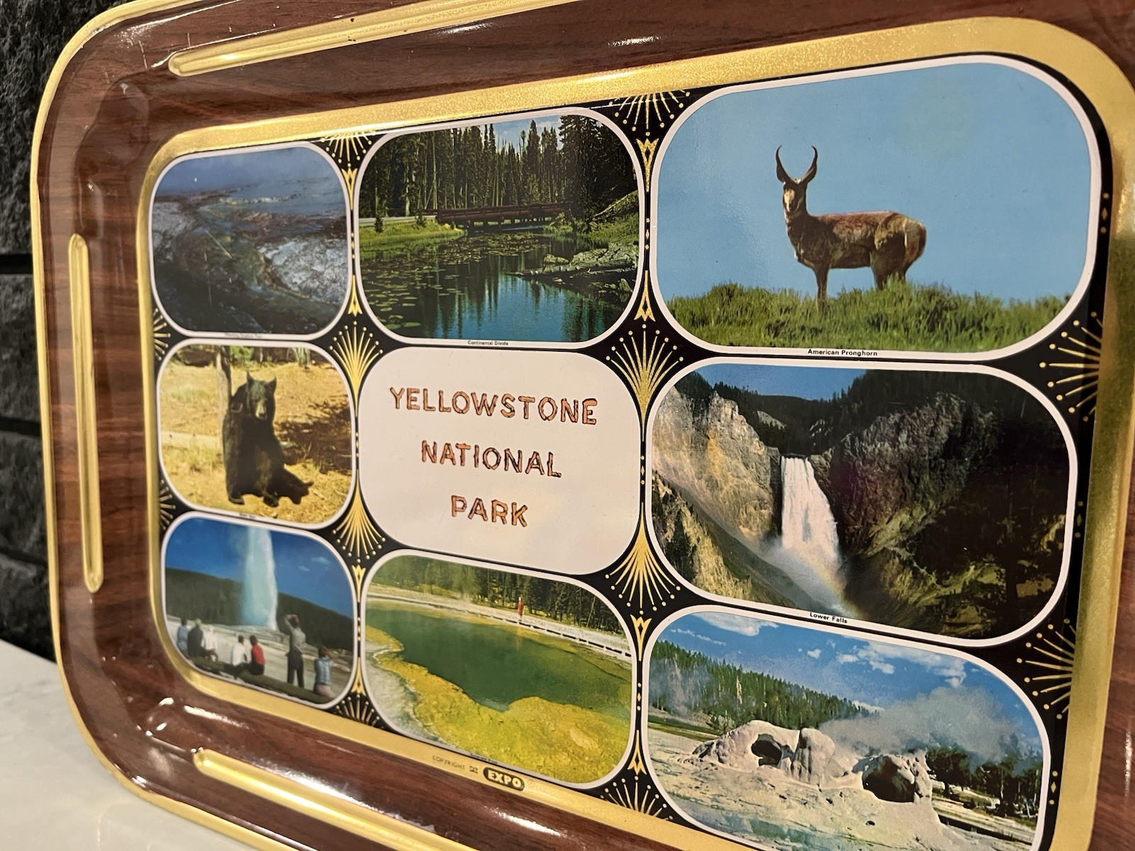 Vintage Yellowstone National Park Expo Tin Tray 17×14