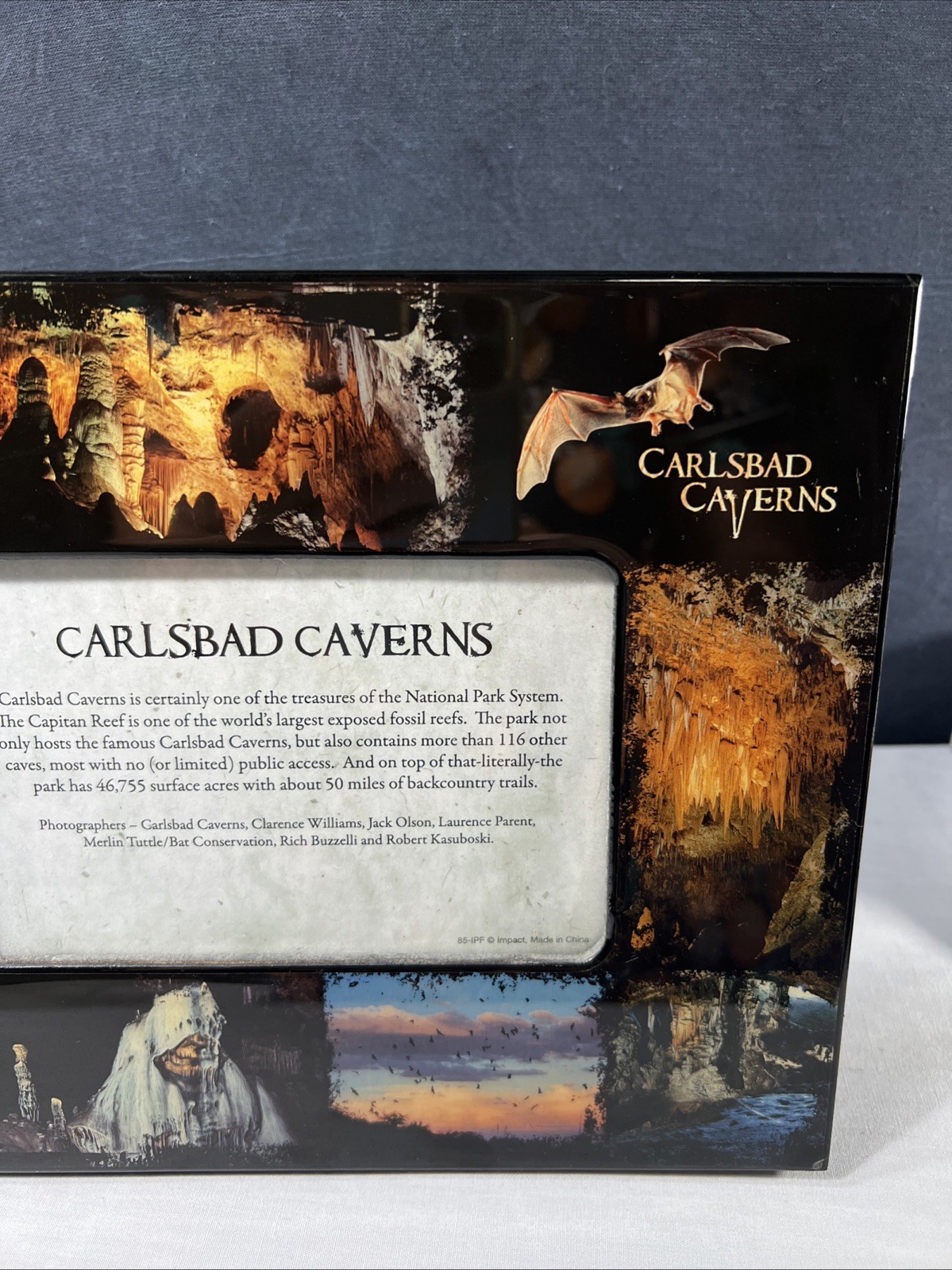 Vintage Carlsbad Caverns Black Lacquer Souvenier Photo Frame Cave /bat Pictures