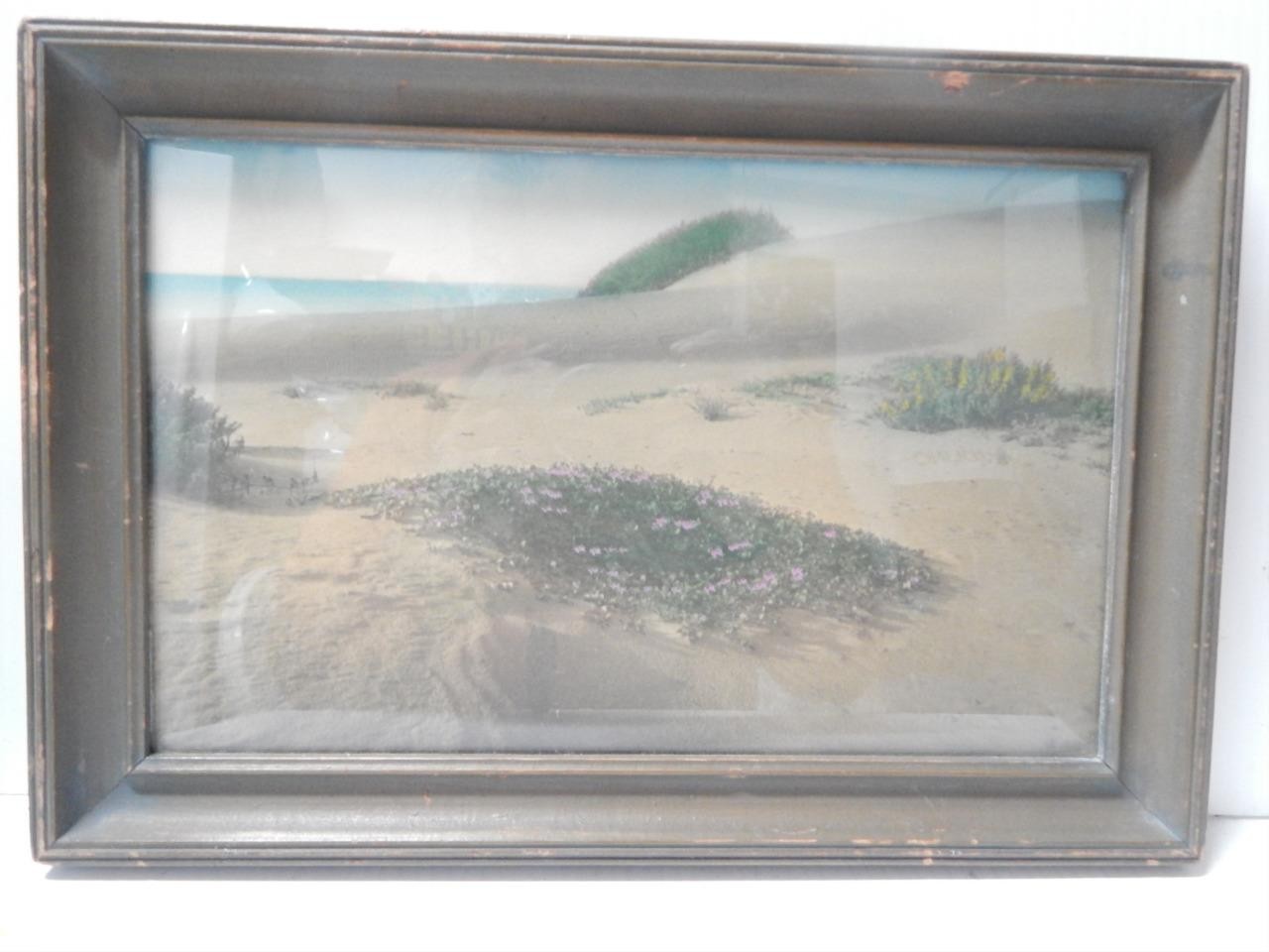 WONDERFUL ANTIQUE HAND TINTED PHOTOGRAPH – MICHIGAN / INDIANA DUNES ORIG FRAME