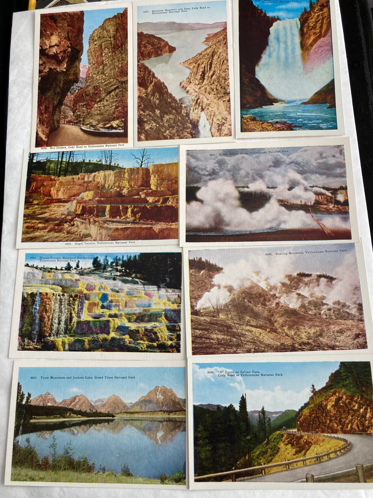 YELLOWSTONE NATIONAL PARK Box of Photo-Tint Postcards (43 of 50) Cody Wyoming